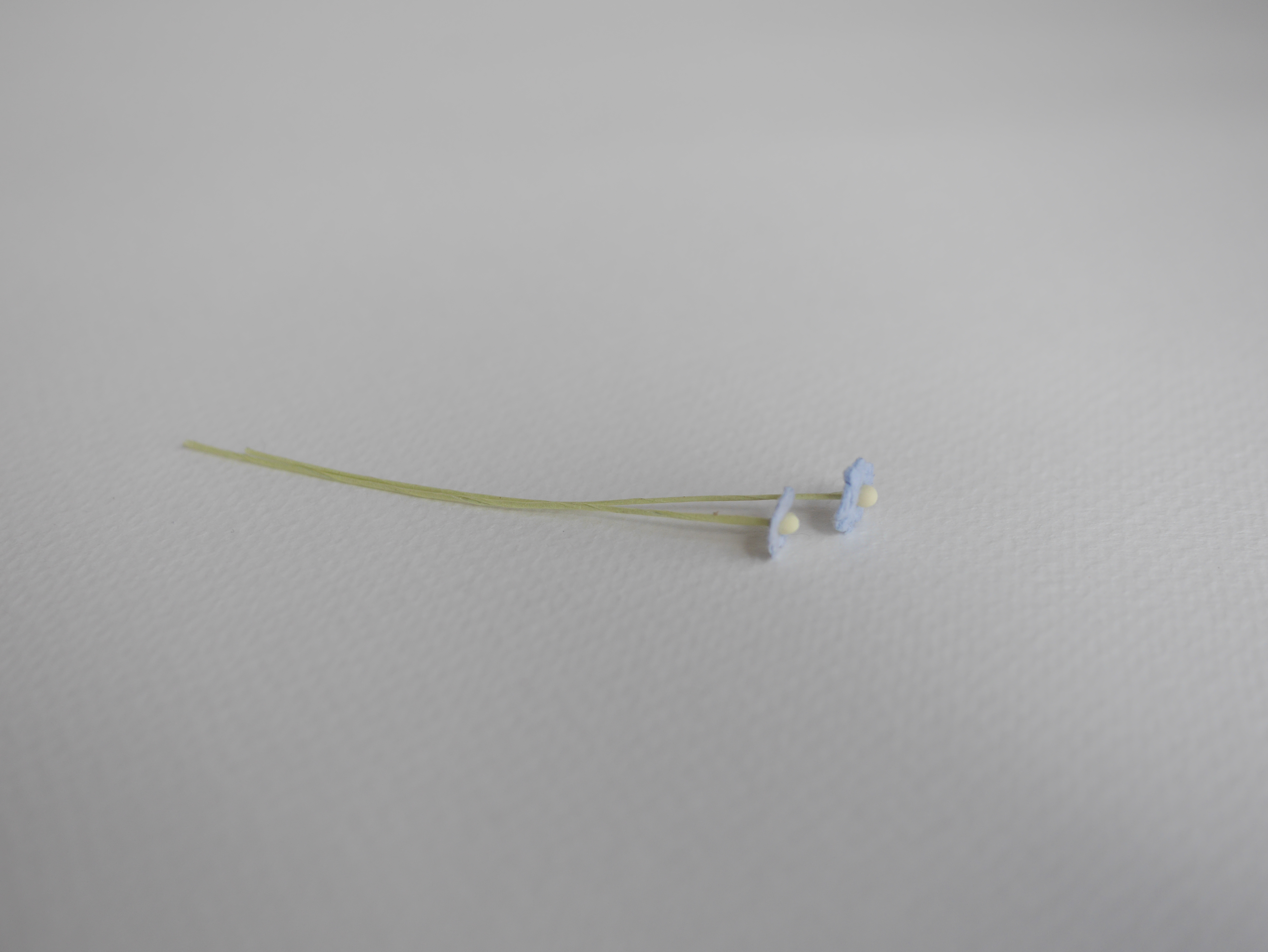 ดอกไม้กระดาษสา ดอกไม้กระดาษสาราคาส่ง ดอกไม้กระดาษสำหรับตกแต่ง งานแต่งงาน หรือติดของชำร่วย ดอกไม้จิ๋ว 100 ดอก ขนาด 0.6 cm. สีฟ้าตุ่น Small Paper Flower with stem, , 100 pcs., size 0.5 cm., small creeping ladies flowers 1 layer, wooden blue color.