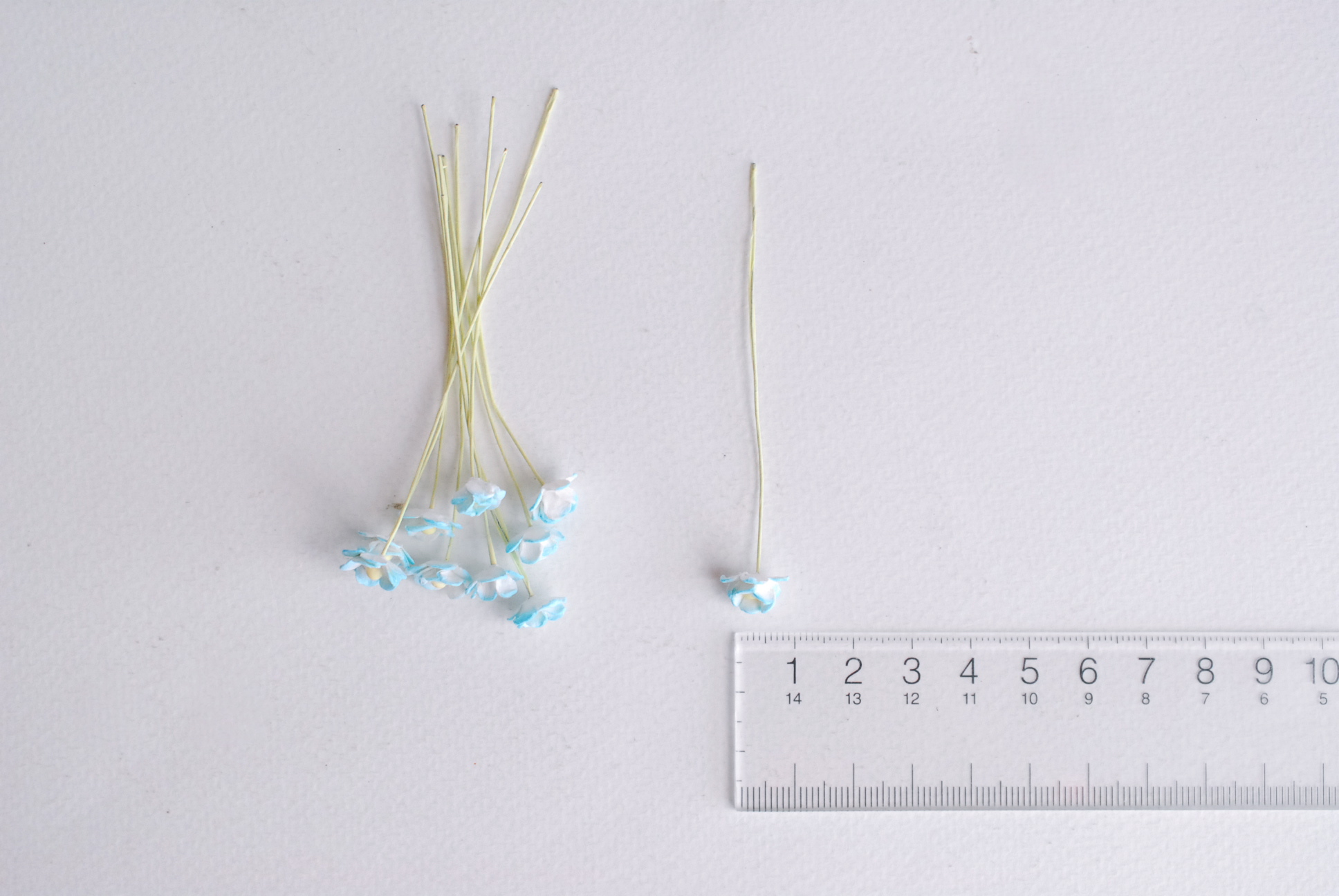 ดอกไม้กระดาษสา ดอกไม้กระดาษสาราคาส่ง ดอกไม้กระดาษสำหรับตกแต่ง งานแต่งงาน หรือติดของชำร่วย ดอก creeping lady 100 ดอก ขนาด 0.8 cm. สีฟ้าอ่อนปัดขาว Small Paper Flower with stem, , 100 pcs., size 0.8 cm., creeping flowers 2 layers, blue sky brush color.