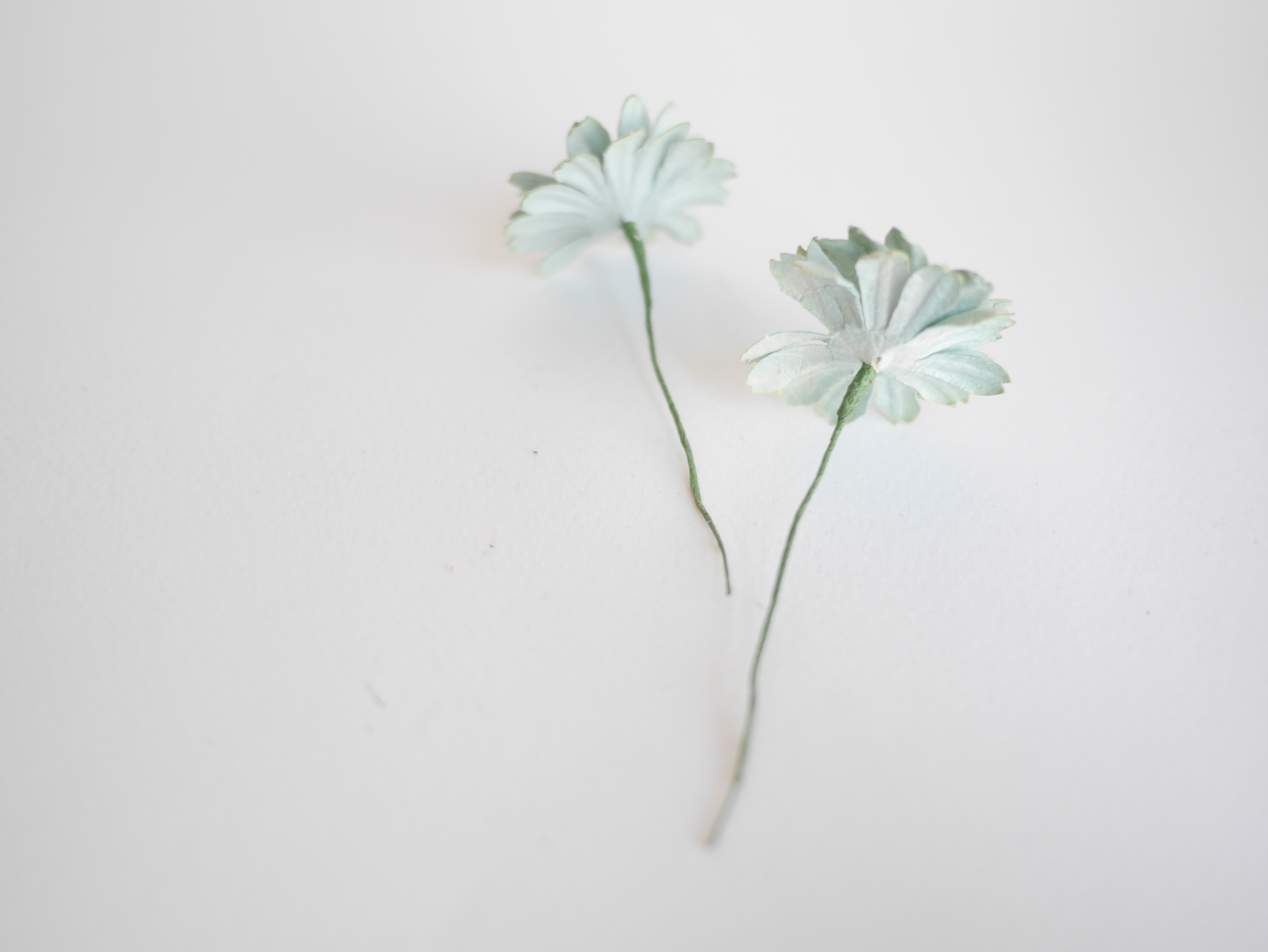 ดอกไม้กระดาษสา ดอกไม้ประดิษฐ์จากกระดาษสา ดอกไม้กระดาษสาขายส่ง ดอกไม้ประดิษฐ์ ดอกไม้ทำข้อมือเพื่อนเจ้าสาว ดอก daisy ขนาด 3.5 cm. จำนวน 25 ดอก สีเขียวตุ่น Paper Flower, 25 Daisy Flowers, pale green color, size 3.5 cm., ivory pollen