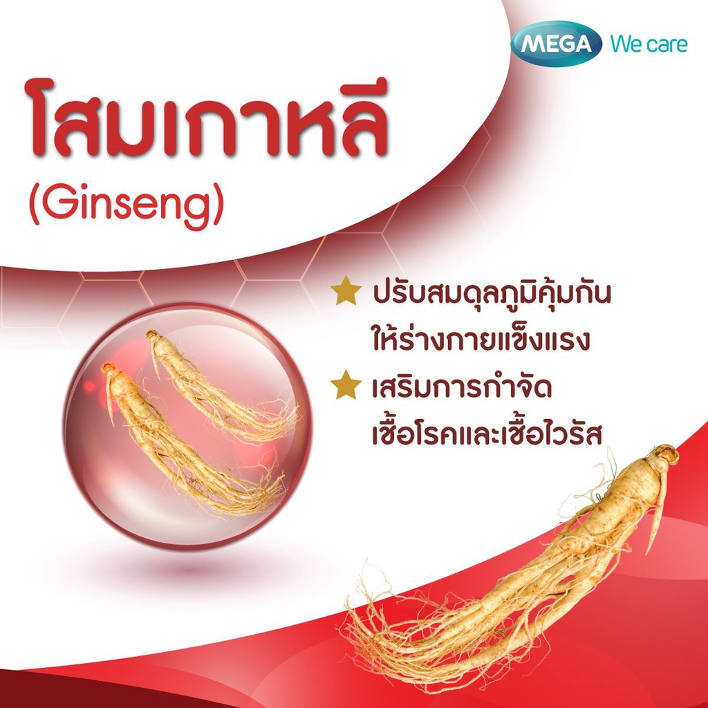 โสมสกัด Mega Ginsomin 20x8 caps. เมก้า จินโซมิน 20x8 แคปซูล.