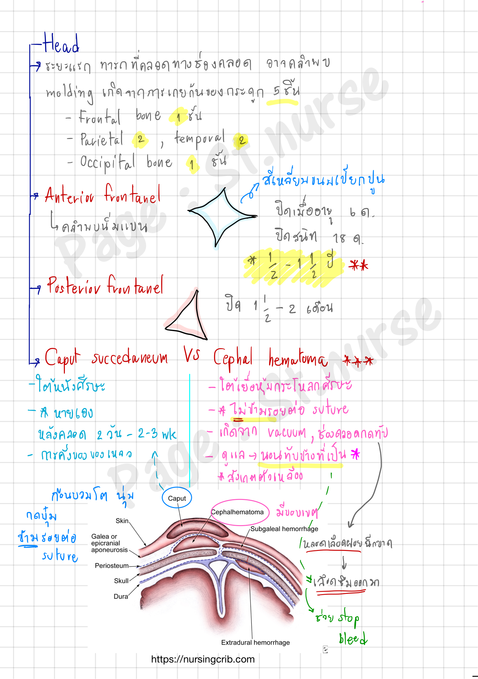 Shortnote การพยาบาลมารดาทารก