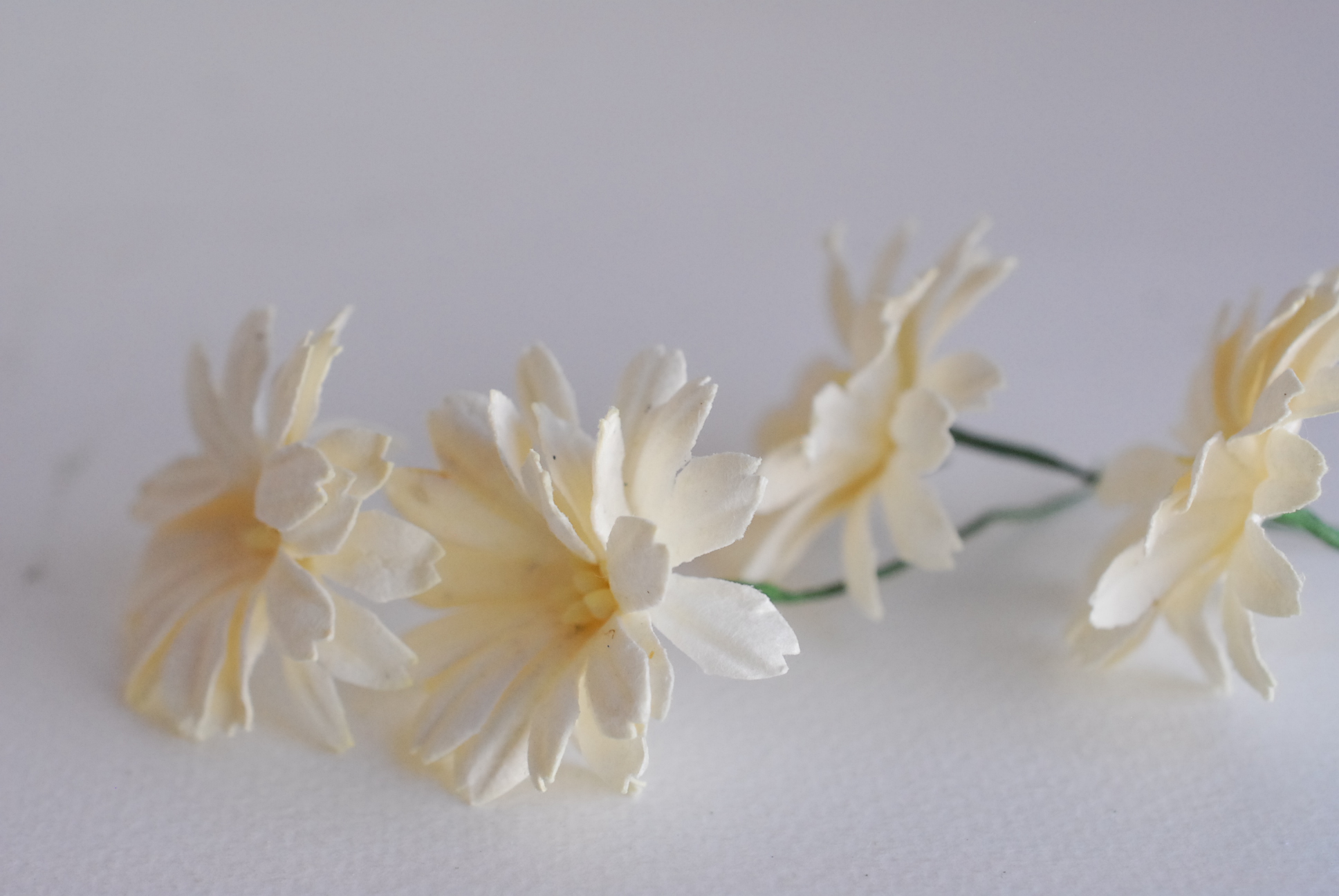 ดอกไม้กระดาษสา ดอกไม้ประดิษฐ์จากกระดาษสา ดอกเดซี่ ดอกไม้กระดาษสาขายส่ง ดอกไม้ประดิษฐ์ ดอกไม้ทำข้อมือเพื่อนเจ้าสาว ดอก daisy ขนาด 3.5 cm. จำนวน 25 ดอก สีครีม Paper Flower, 25 Daisy Flowers, ivory color, size 4.5 cm., ivory cream pollen.