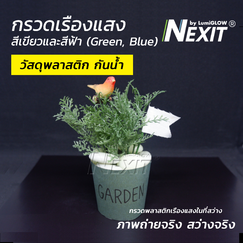 Nexit กรวดเรืองแสง กรวดพลาสติกเรืองแสง กันน้ำ สีเขียว/สีฟ้า (เลือกน้ำหนักได้) กรวดตู้ปลา ตกแต่งสวน สวนถาด สวนขวด