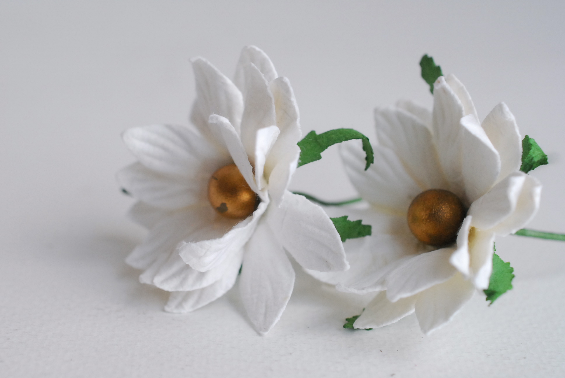 ดอกไม้กระดาษสา ดอกไม้ประดิษฐ์จากกระดาษสา ดอกเดซี่ เกสรสีทอง ดอกไม้กระดาษสาขายส่ง ดอกไม้ประดิษฐ์ ดอกไม้ทำข้อมือเพื่อนเจ้าสาว ดอก daisy ขนาด 5cm. จำนวน 25 ดอก สีขาว Paper Flower, 25 Daisy Flowers, ivory color, size 5 cm., golden pollen.