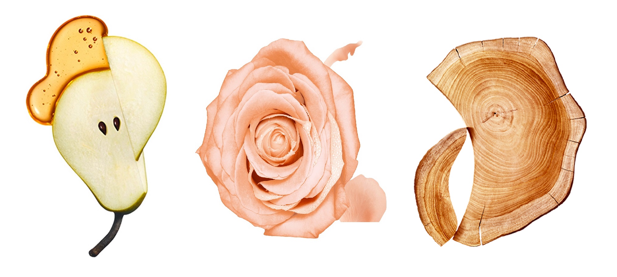 ISSEY MIYAKE L'Eau d'Issey Pure Petale De Nectar EDT แบ่งขาย