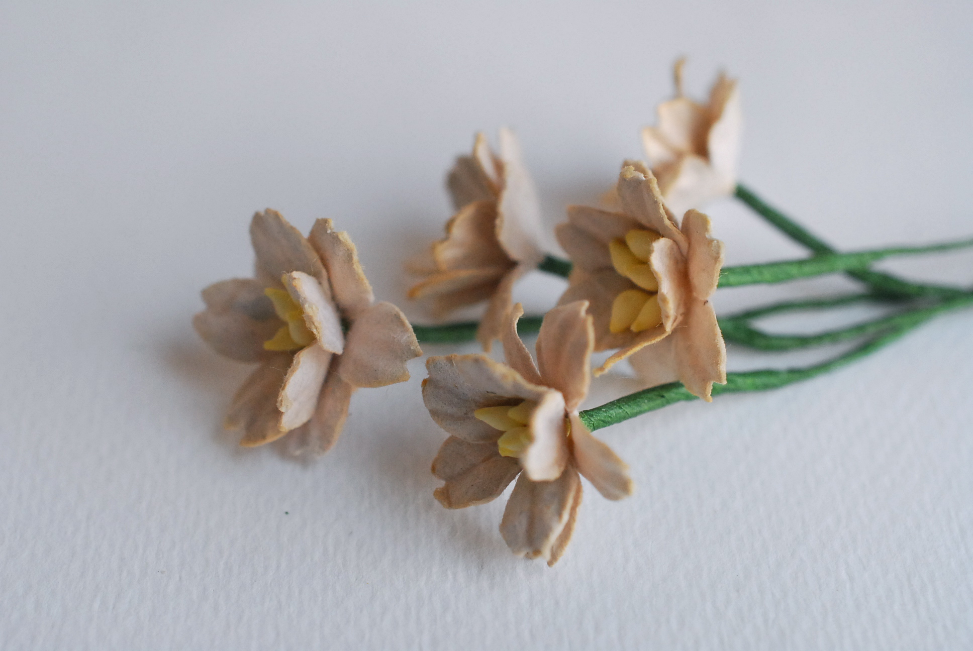 ดอกไม้กระดาษสา ดอกซากุระกระดาษ ขนาดเล็ก ดอกไม้กระดาษสาราคาส่ง ดอกไม้กระดาษสำหรับตกแต่งของชำร่วย งานแต่งงาน ทำช่อดอกไม้ติดอกเจ้าบ่าว ข้อมือดอกไม้เจ้าสาว ขนาด2.0 cm. 50 ดอก สีน้ำตาลอ่อนPaper flowers supplies: DIY wedding tools small Cherry blossom (Sakura)