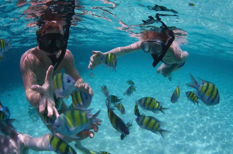 อันดับ 1 ทัวร์เกาะพีพี เลซี่ พีพี อ่าวมาหยา อ่าวปิเละ เกาะไข่ เรือสปีดโบ๊ท Lazy Phi Phi Island Khai Island - Maya Bay - Pileh Lagoon
