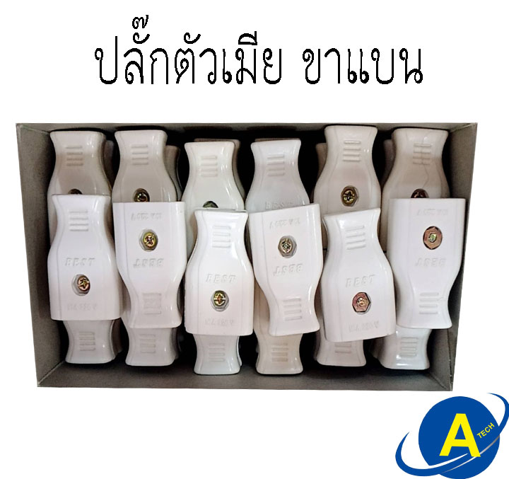 ปลั๊กเสียบตัวเมีย ขาแบน