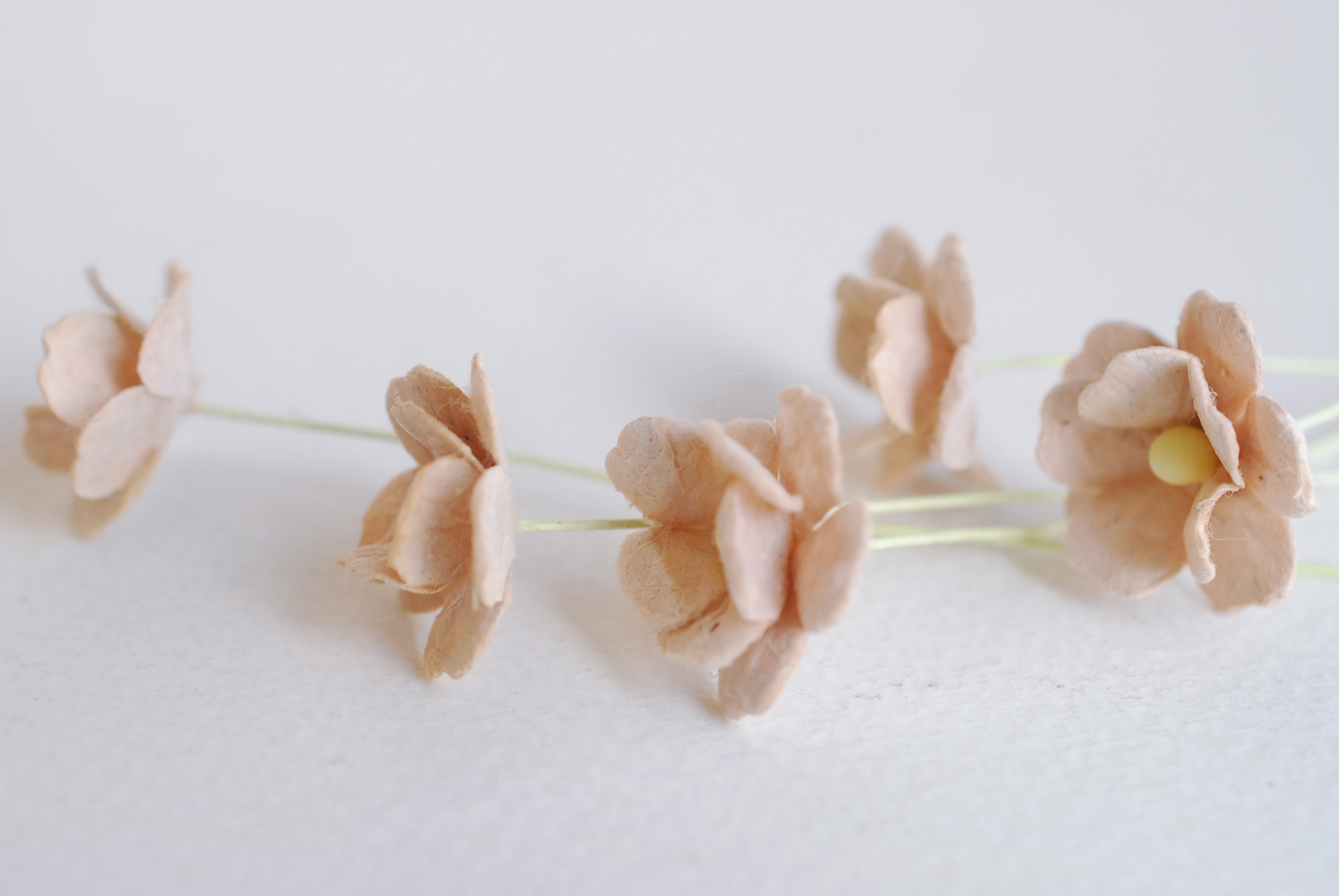 ดอกไม้กระดาษสา ราคาส่ง, ดอกไฮเดรนเยียกระดาษสา ดอกไม้ประดิษฐ์ ตกแต่งงานแต่งงาน ประดิษฐ์ข้อมือเพื่อนเจ้าสาว ขนา่ด 1.5 cm., สำหรับของชำร่วย, งานแต่งงาน, ดอกไม้ทำข้อมือเจ้าสาว สีน้ำตาลอ่อน จำนวน 100 ดอก Paper flower,100 Pieces mulberry hydenyia light brown co