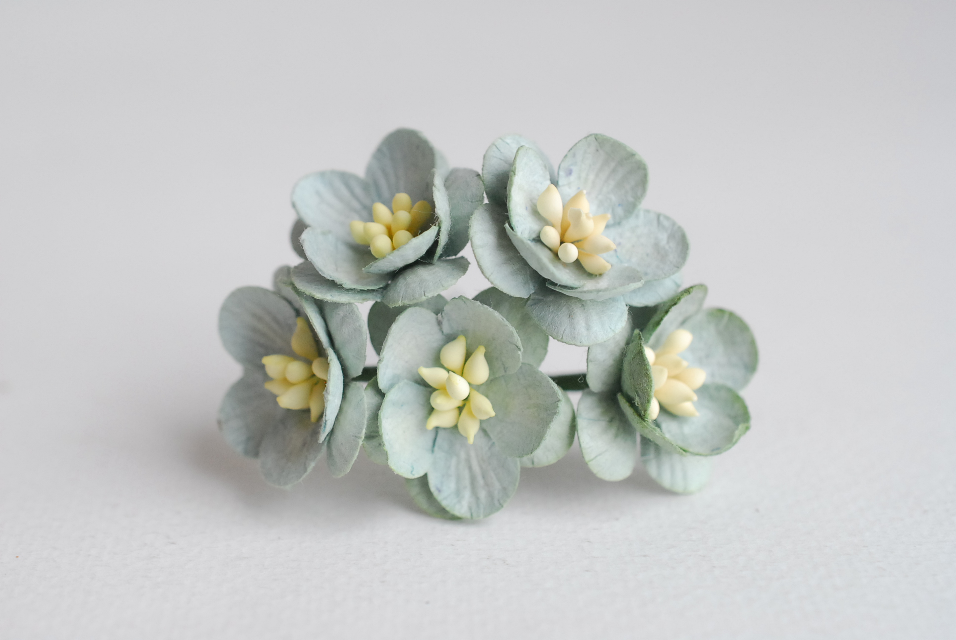 ดอกไม้กระดาษสา ดอกซากุระกระดาษ ดอกไม้กระดาษสาราคาส่ง ดอกไม้กระดาษสำหรับตกแต่งของชำร่วย งานแต่งงาน ทำช่อดอกไม้ติดอกเจ้าบ่าว ข้อมือดอกไม้เจ้าสาว ขนาด2.5 cm. 50 ดอก Paper flowers supplies: DIY wedding tools Cherry blossom (Sakura) 50 pcs. size 2.5 cm.