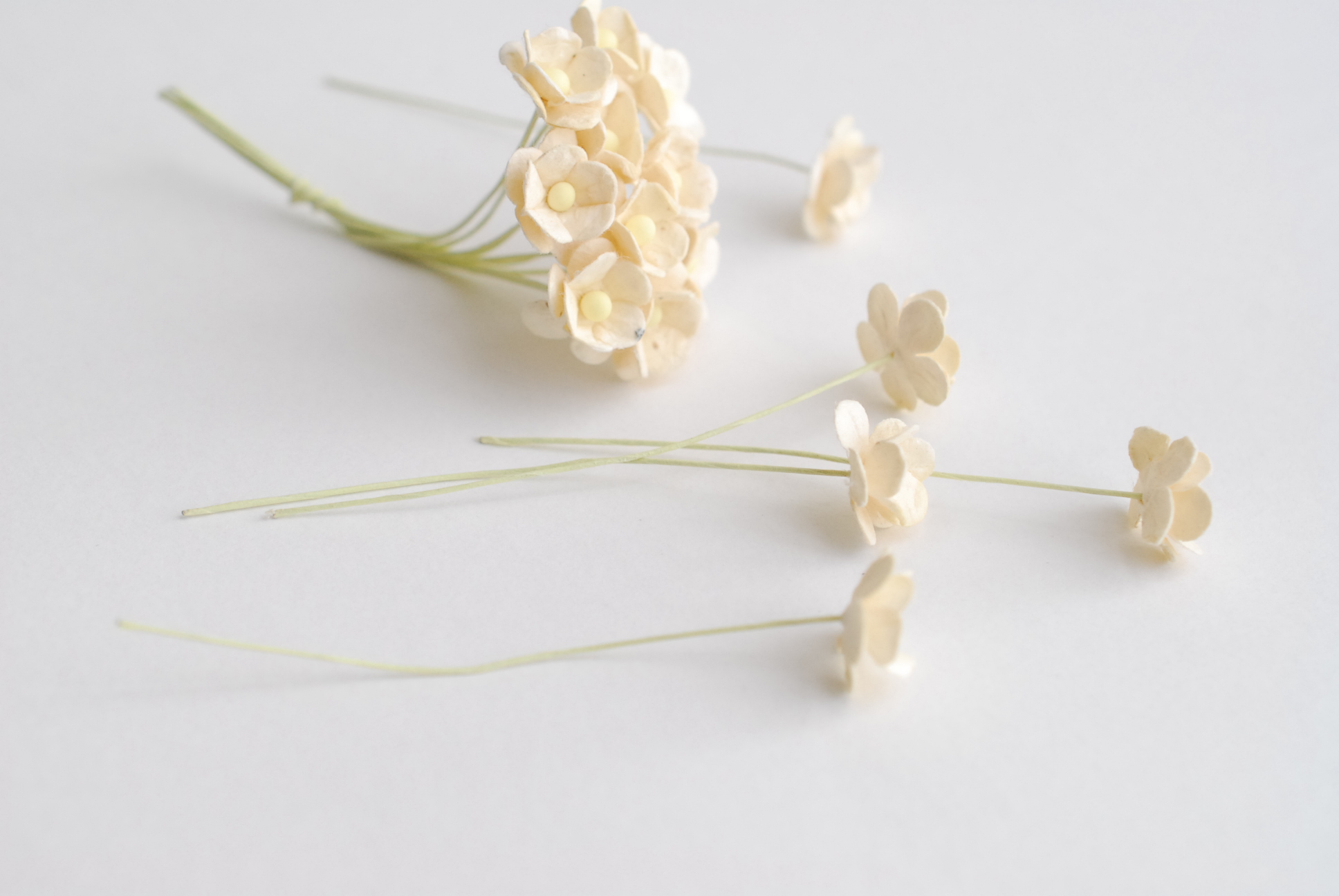 ดอกไม้กระดาษสา ราคาส่ง, ดอกไฮเดรนเยียกระดาษสา ดอกไม้ประดิษฐ์ ตกแต่งงานแต่งงาน ประดิษฐ์ข้อมือ เพื่อนเจ้าสาว ขนาด 1.5 cm., สำหรับของชำร่วย, งานแต่งงาน, ดอกไม้ทำข้อมือเจ้าสาว สีงาช้าง จำนวน 100 ดอก Paper flower,100 Pieces mulberry hydenyia, ivory color