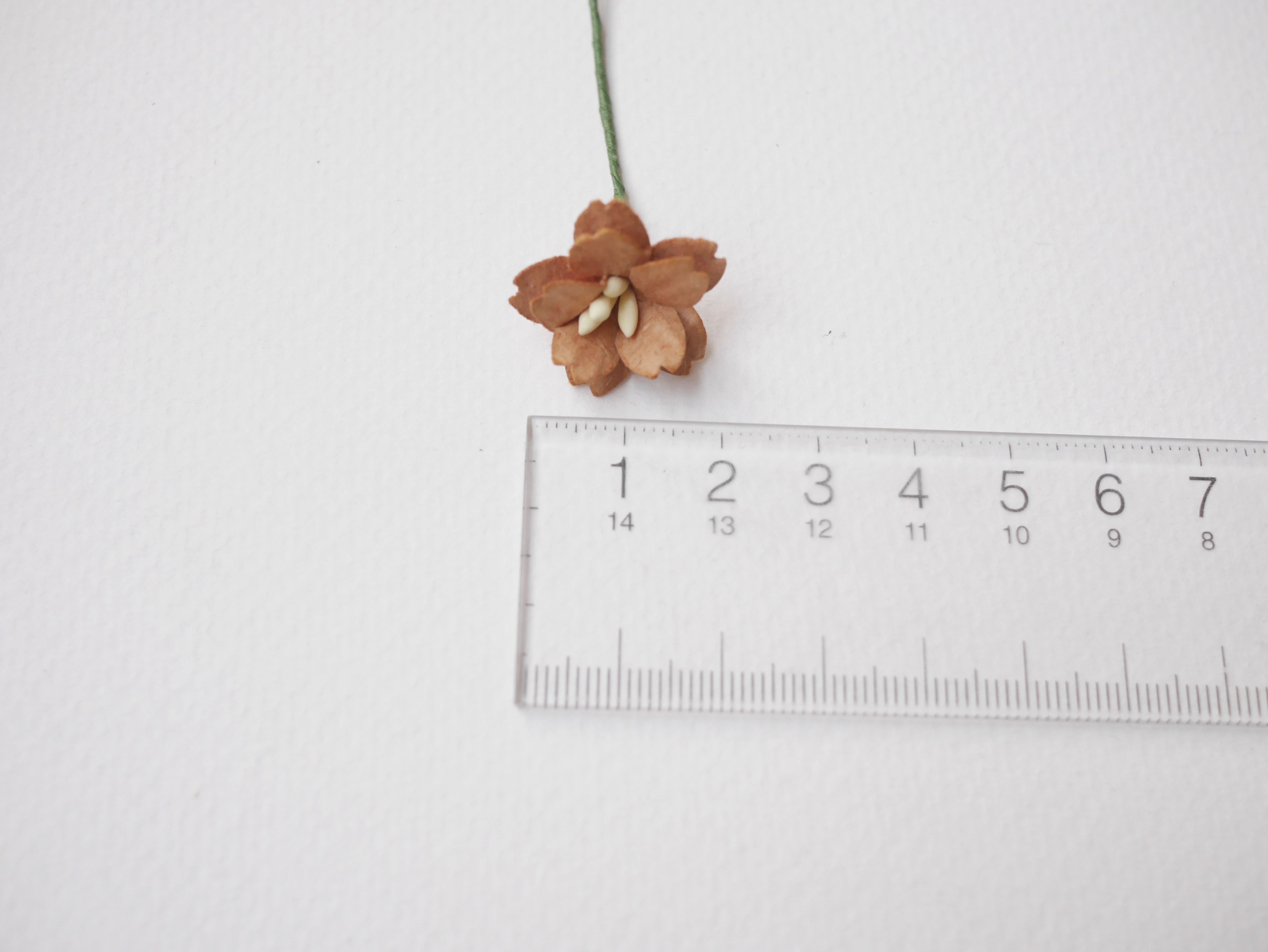 ดอกไม้กระดาษสา ดอกซากุระกระดาษ ขนาดเล็ก ดอกไม้กระดาษสาราคาส่ง ดอกไม้กระดาษสำหรับตกแต่งของชำร่วย งานแต่งงาน ทำช่อดอกไม้ติดอกเจ้าบ่าว ข้อมือดอกไม้เจ้าสาว ขนาด2.0 cm. 50 ดอก สีน้ำตาล Paper flowers supplies: DIY wedding tools small Cherry blossom (Sakura)