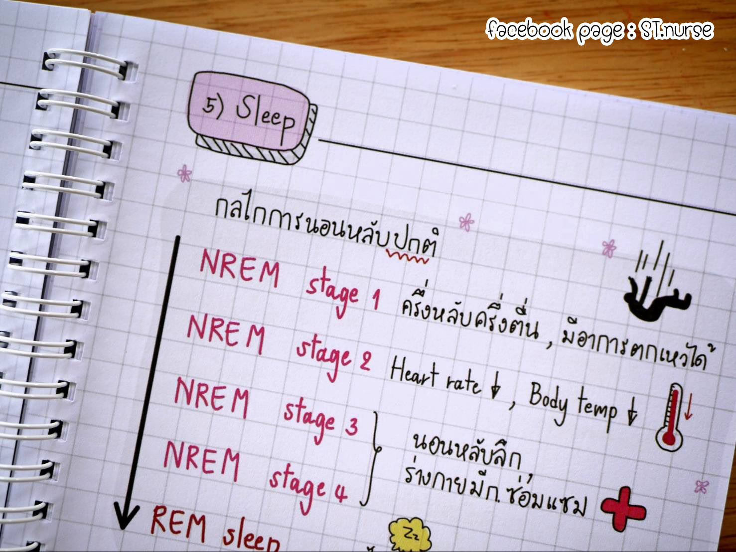 shortnote การพยาบาลผู้สูงอายุ