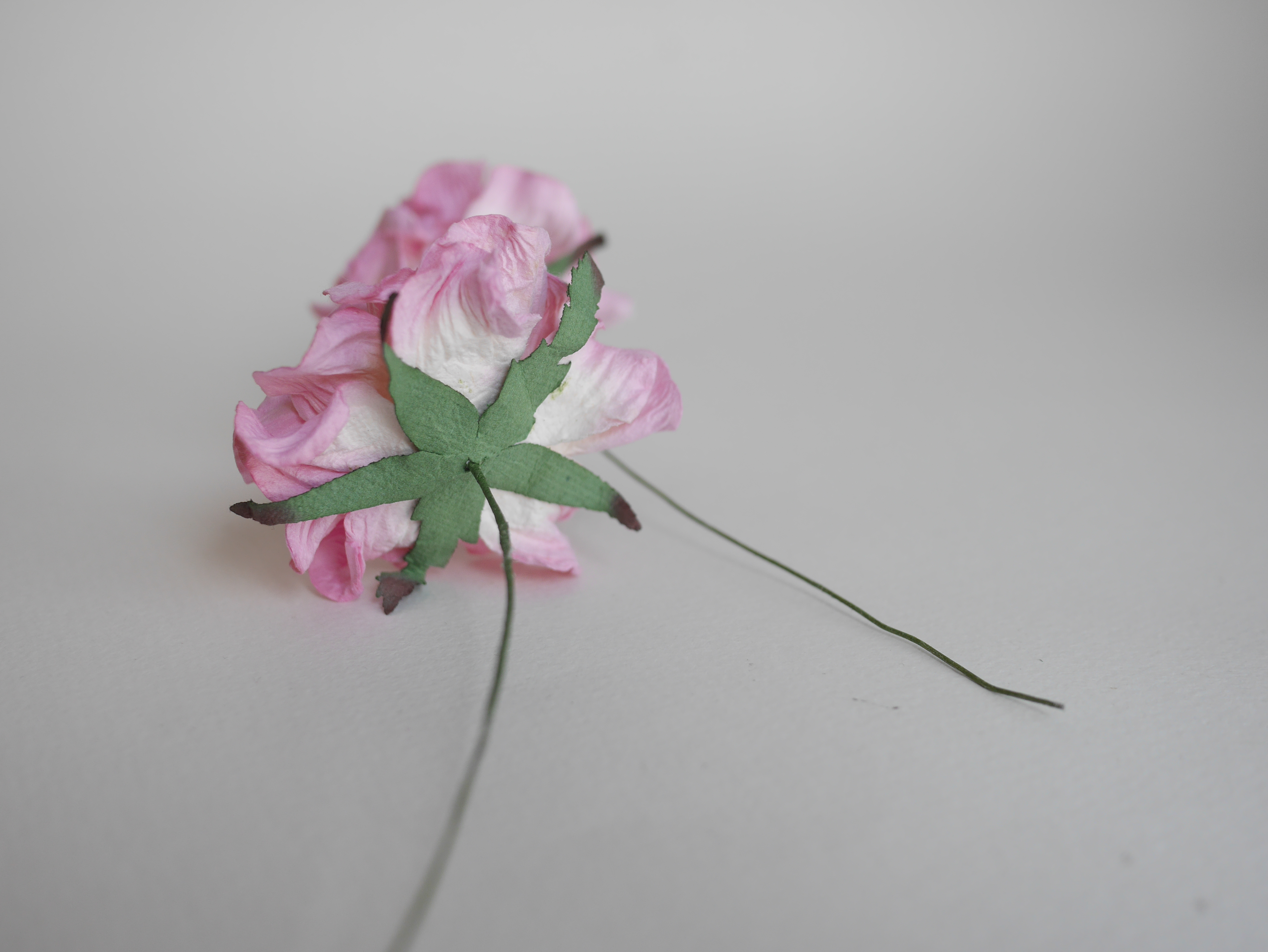 ดอกไม้ประดิษฐ์ ดอกไม้กระดาษสา ตกแต่งงานแต่งงาน งานแต่งงาน ดอกไม้ทำมงกุฎ ดอกกุหลาบขนาดใหญ่ 7 cm. 2 ดอก กลีบบิด สีชมพูปัดสีขาวข้างใน pink brush white color