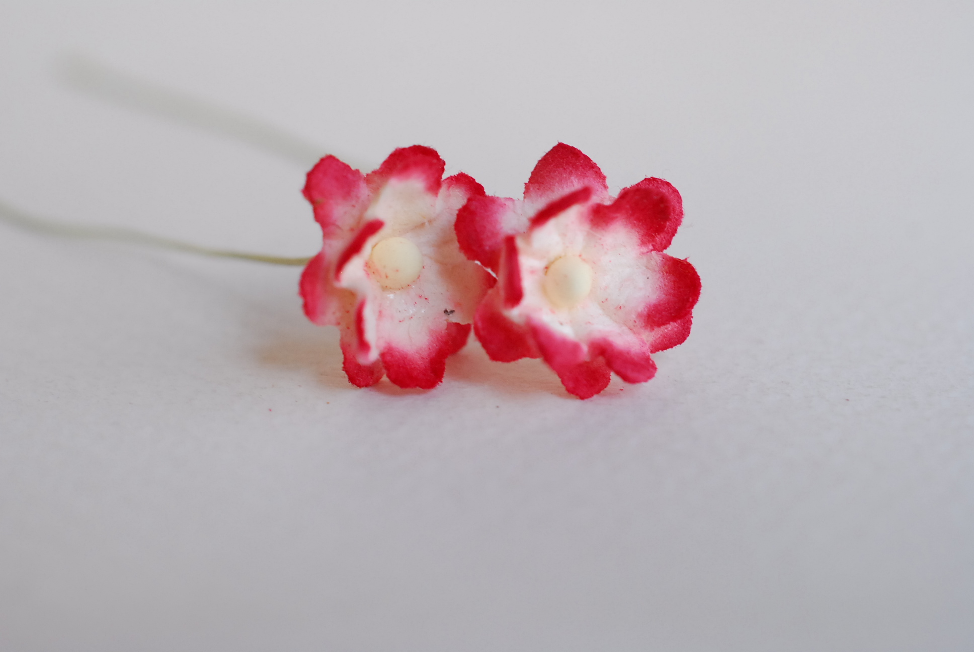 ดอกไม้กระดาษสา ดอกซากุระกระดาษขนาดเล็ก ดอกไม้กระดาษสาราคาส่ง ดอกไม้กระดาษสำหรับตกแต่งของชำร่วย งานแต่งงาน ทำช่อดอกไม้ติดอกเจ้าบ่าว ข้อมือดอกไม้เจ้าสาว ขนาด 1.5 cm. 50 ดอก Paper flowers supplies: DIY wedding tools Small Cherry blossom (Sakura) 50 pcs. size