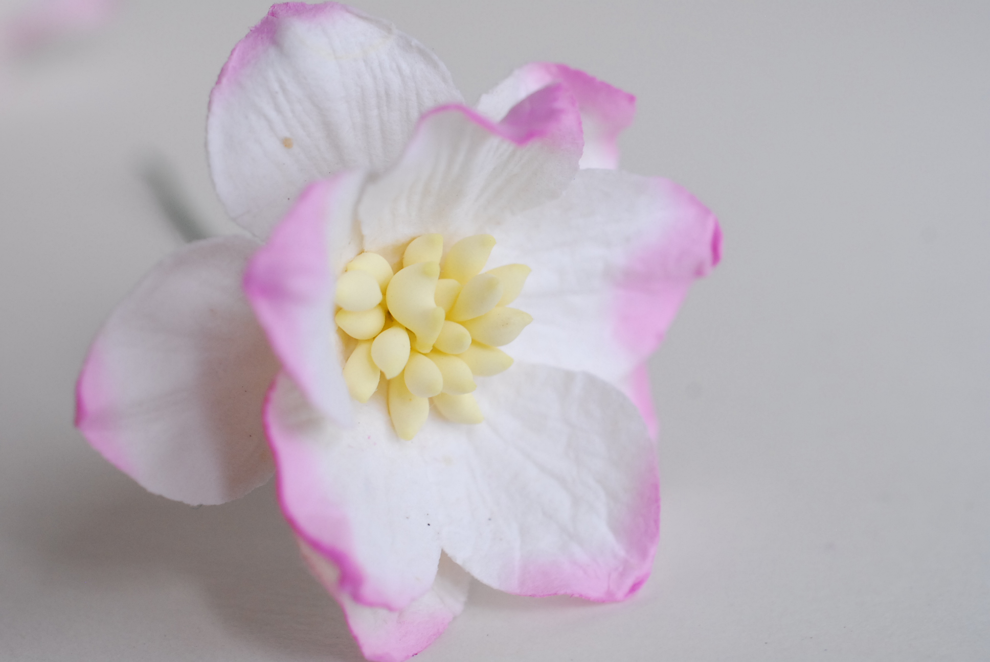 ดอกไม้กระดาษสา ดอกโลตัสอินโดนิเซียกระดาษ ดอกไม้กระดาษสาราคาส่ง ดอกไม้กระดาษสำหรับตกแต่งของชำร่วย งานแต่งงาน ทำช่อดอกไม้ติดอกเจ้าบ่าว ข้อมือดอกไม้เจ้าสาว ขนาด3.5 cm. 25 ดอก สีชมพปัด Paper flowers supplies: DIY wedding tools Big Cherry blossom (Lotus Indoni