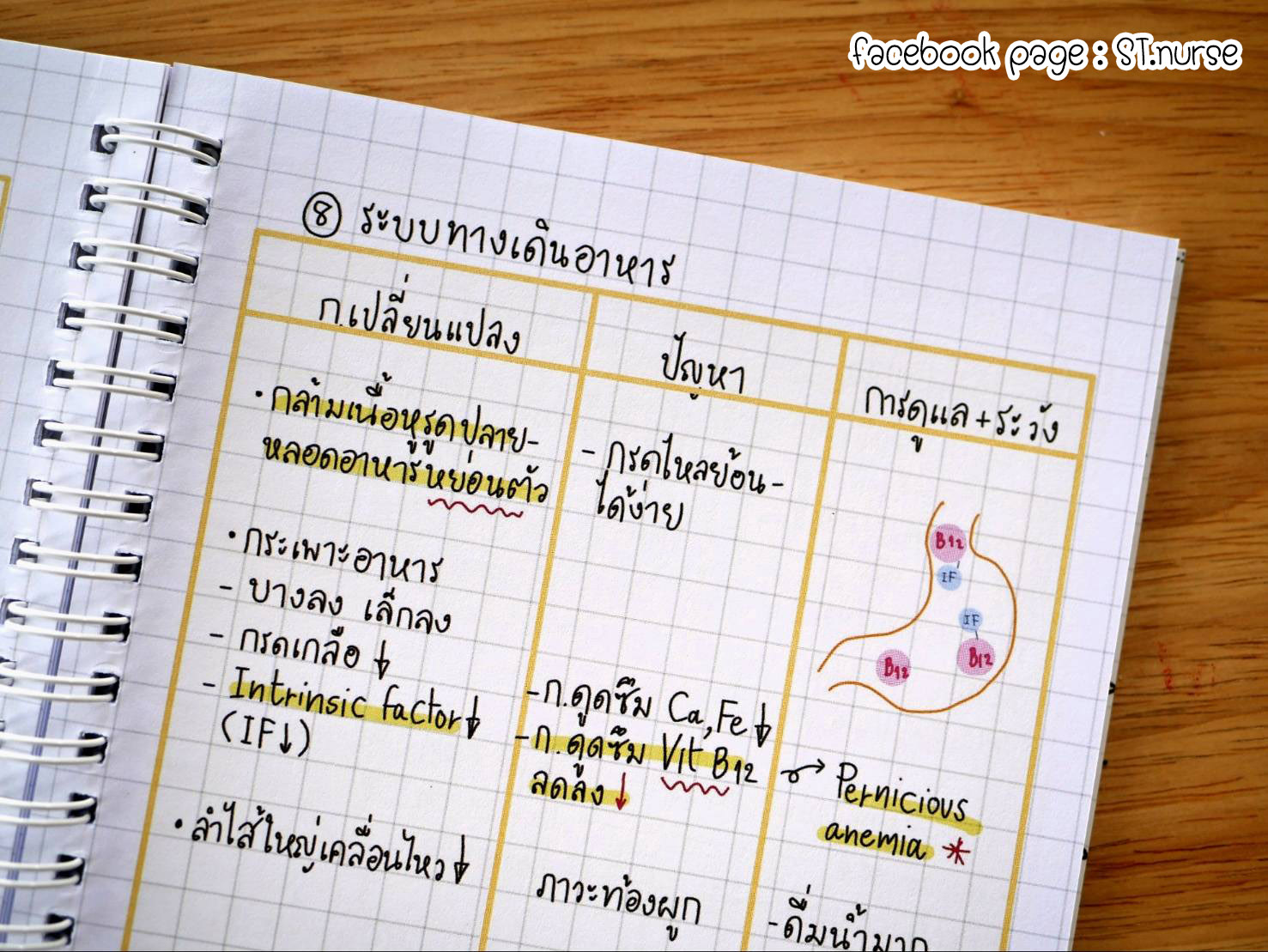 shortnote การพยาบาลผู้สูงอายุ