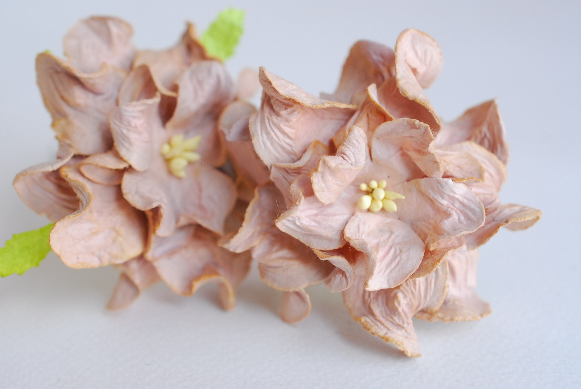 ดอกไม้กระดาษสา ราคาส่ง, ดอกการเดนเนียกระดาษสา ดอกไม้ประดิษฐ์ ตกแต่งงานแต่งงาน ประดิษฐ์ข้อมือเพื่อนเจ้าสาว ขนา่ด 5.5 cm., สำหรับของชำร่วย, งานแต่งงาน, ดอกไม้ทำข้อมือเจ้าสาว สีน้ำตาล จำนวน 25 ดอก Paper flower,25 Pieces mulberry gardenia flowers supplies