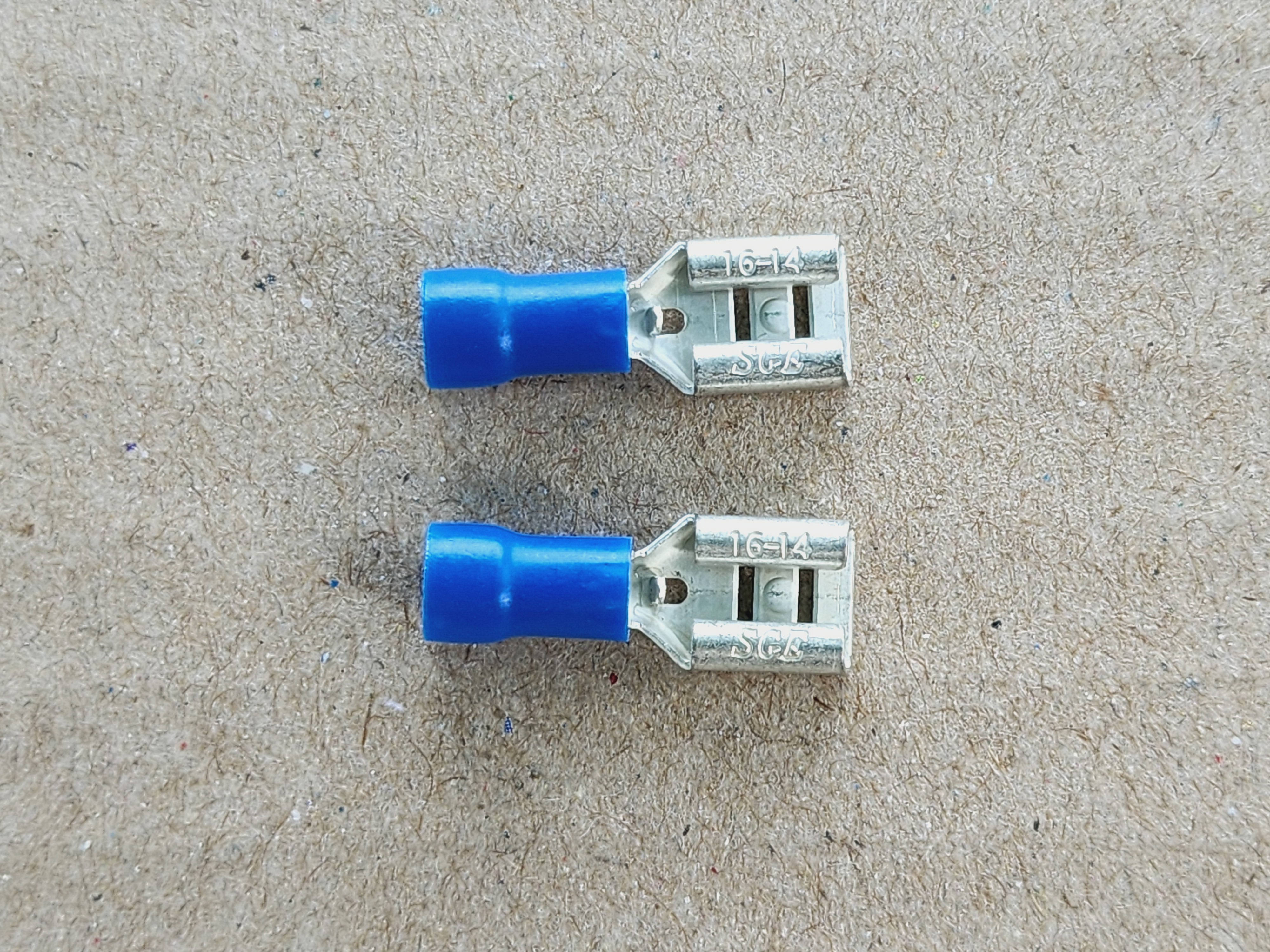 รูปหางปลาเสียบ ตัวเมีย