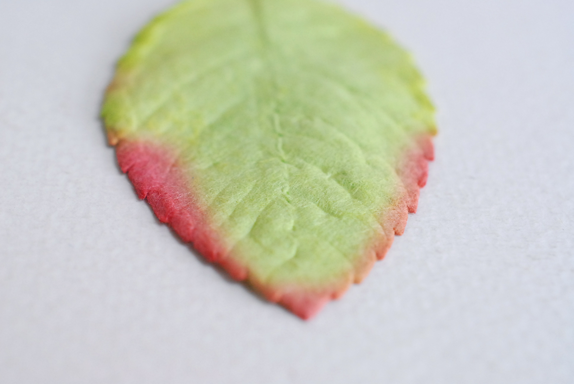 ใบไม้กระดาษ ใบไม้กระดาษสา ราคาส่ง,ใบไม่้กุหลาบกระดาษ สำหรับดอกกุหลาบกระดาษสา ใบไม้ประดิษฐ์ สำหรับตกแต่ง หรืองานแต่งงาน สีเขียวปัดแดง ขนาด6x4.5 cm. จำนวน 50 ใบ