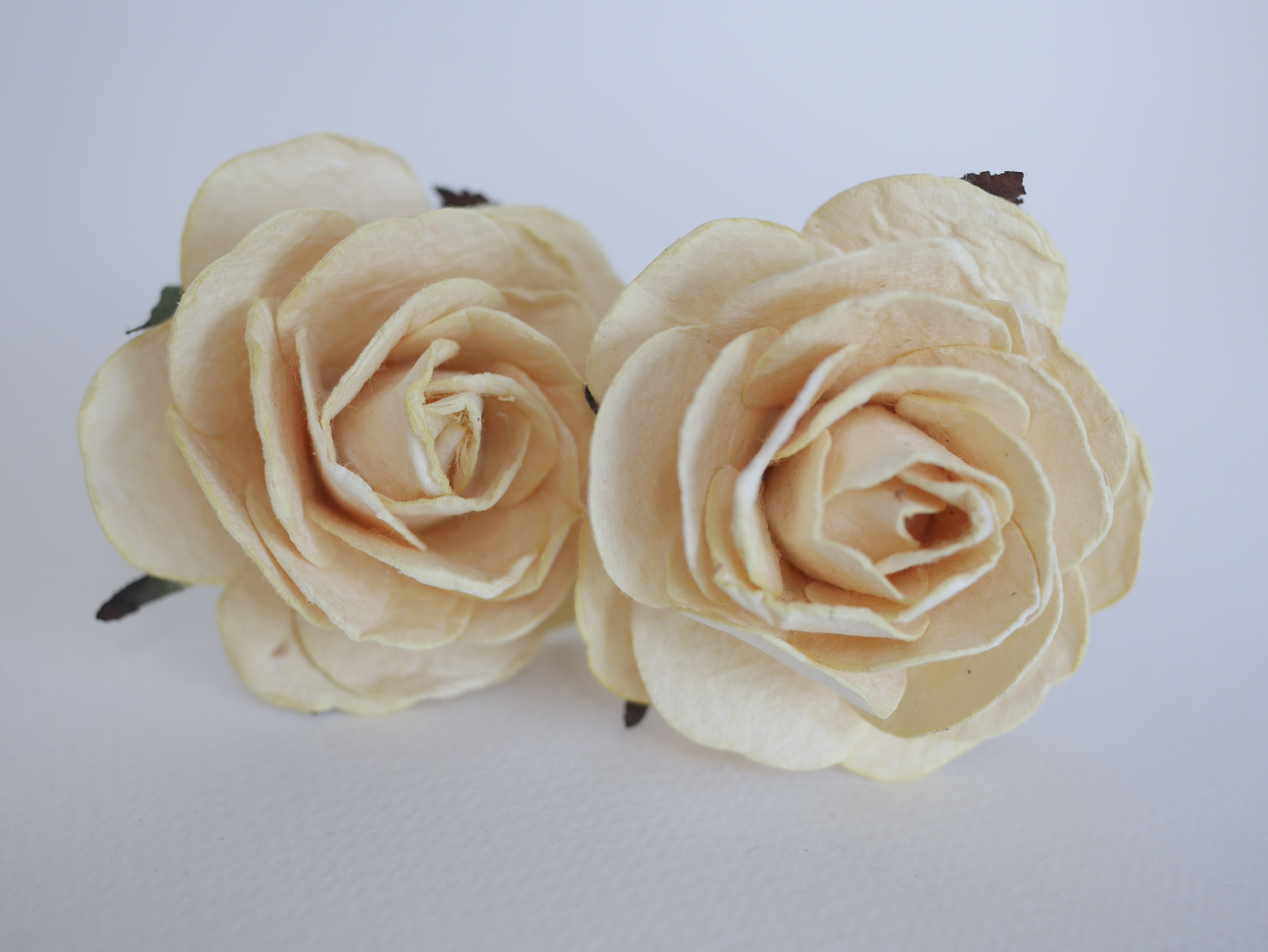 ดอกไม้กระดาษสา ดอกไม้กุหลาบกระดาษ ดอกกุหลาบกระดาษ ขนาด 6.5 cm., สำหรับของชำร่วย, งานแต่งงาน, สีครีม Paper flower,10 Pieces mulberry rose, 6.5 cm. ivory color