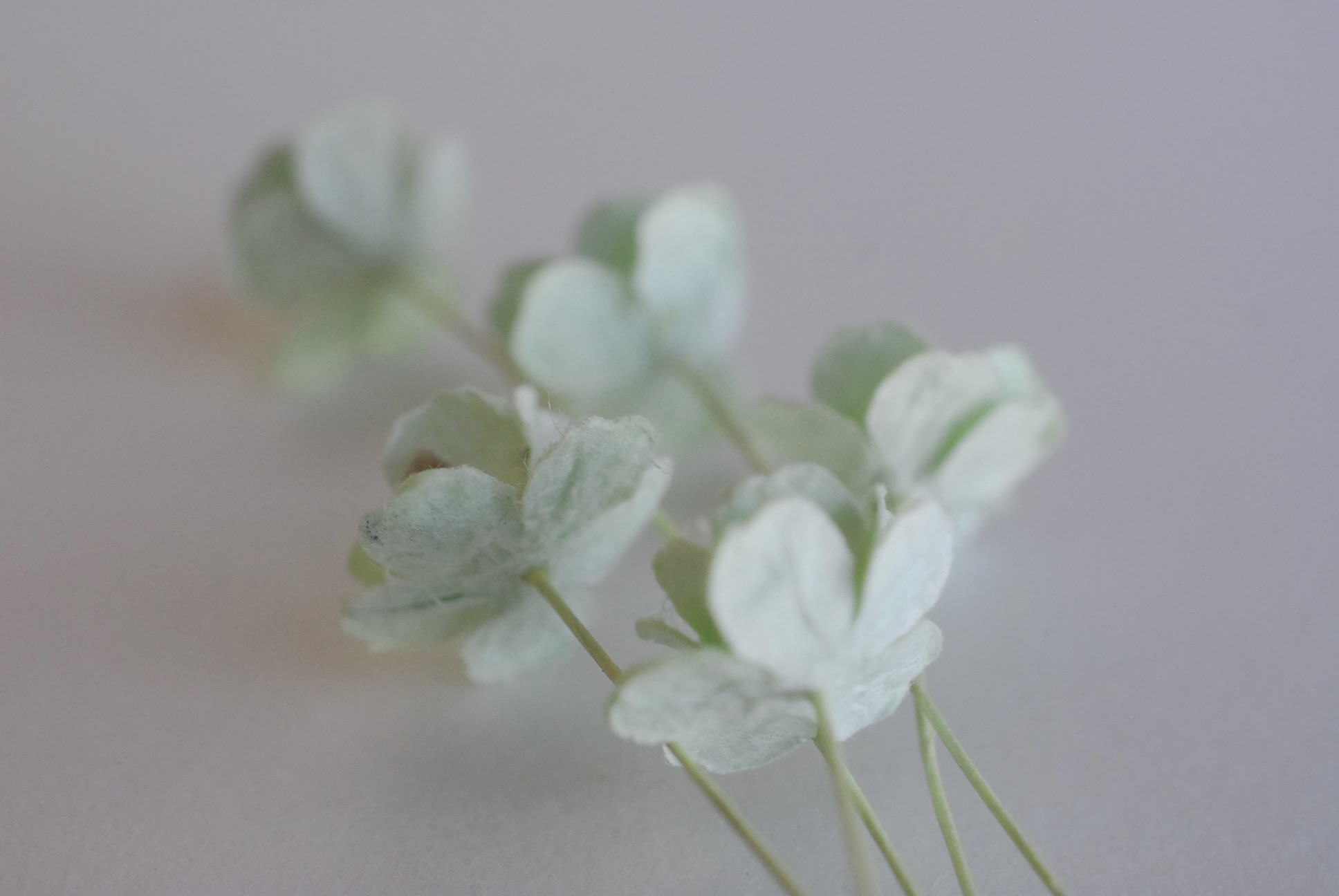 ดอกไม้กระดาษสา ราคาส่ง, ดอกไฮเดรนเยียกระดาษสา ดอกไม้ประดิษฐ์ ตกแต่งงานแต่งงาน ประดิษฐ์ข้อมือเพื่อนเจ้าสาว ขนาด 1.5 cm., สำหรับของชำร่วย, งานแต่งงาน, ดอกไม้ทำข้อมือเจ้าสาว สีเขียวอ่อน จำนวน 100 ดอก Paper flower,100 Pieces mulberry hydenyia, 1.5 cm. light g