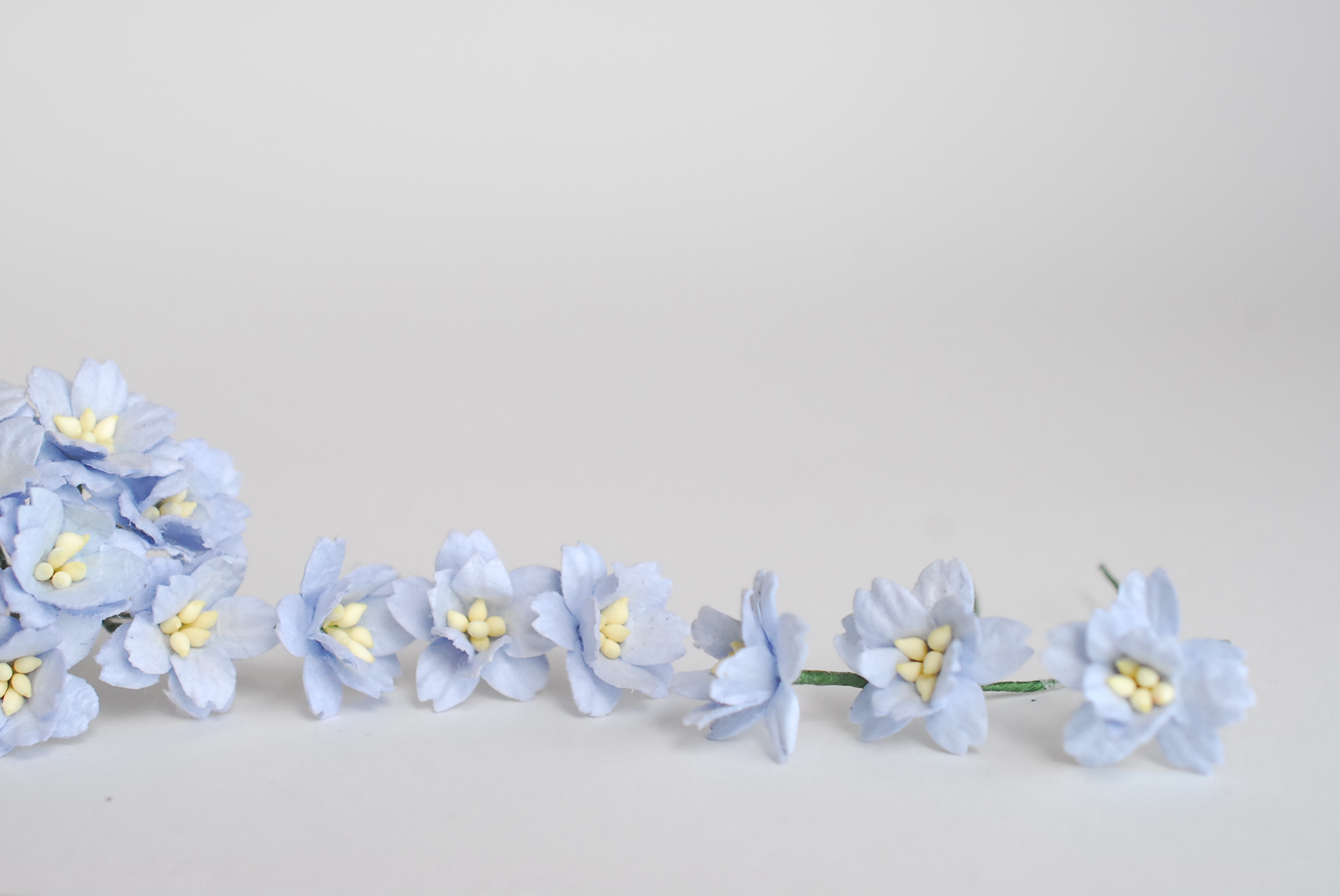 ดอกไม้กระดาษสา ดอกซากุระกระดาษ ขนาดเล็ก ดอกไม้กระดาษสาราคาส่ง ดอกไม้กระดาษสำหรับตกแต่งของชำร่วย งานแต่งงาน ทำช่อดอกไม้ติดอกเจ้าบ่าว ข้อมือดอกไม้เจ้าสาว ขนาด2.0 cm. 50 ดอก สีฟ้าตุ่น Paper flowers supplies: DIY wedding tools small Cherry blossom (Sakura) 50