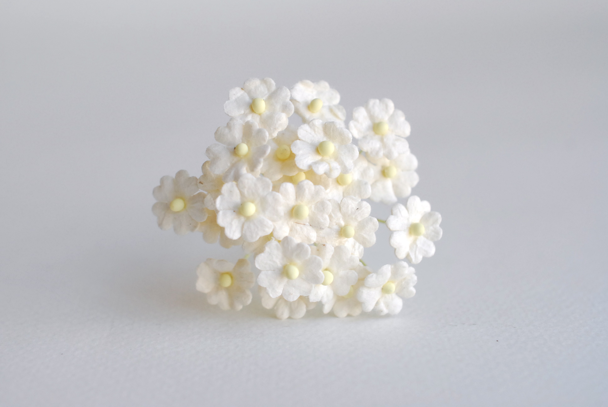 ดอกไม้กระดาษสา ดอกไม้กระดาษสาราคาส่ง ดอกไม้กระดาษสำหรับตกแต่ง งานแต่งงาน หรือติดของชำร่วย ดอกไม้จิ๋ว 100 ดอก ขนาด 1 cm. สีขาว of-white Small Paper Flower with stem, , 100 pcs., size 1 cm., small creeping ladies flowers 1 layer, of-white color.