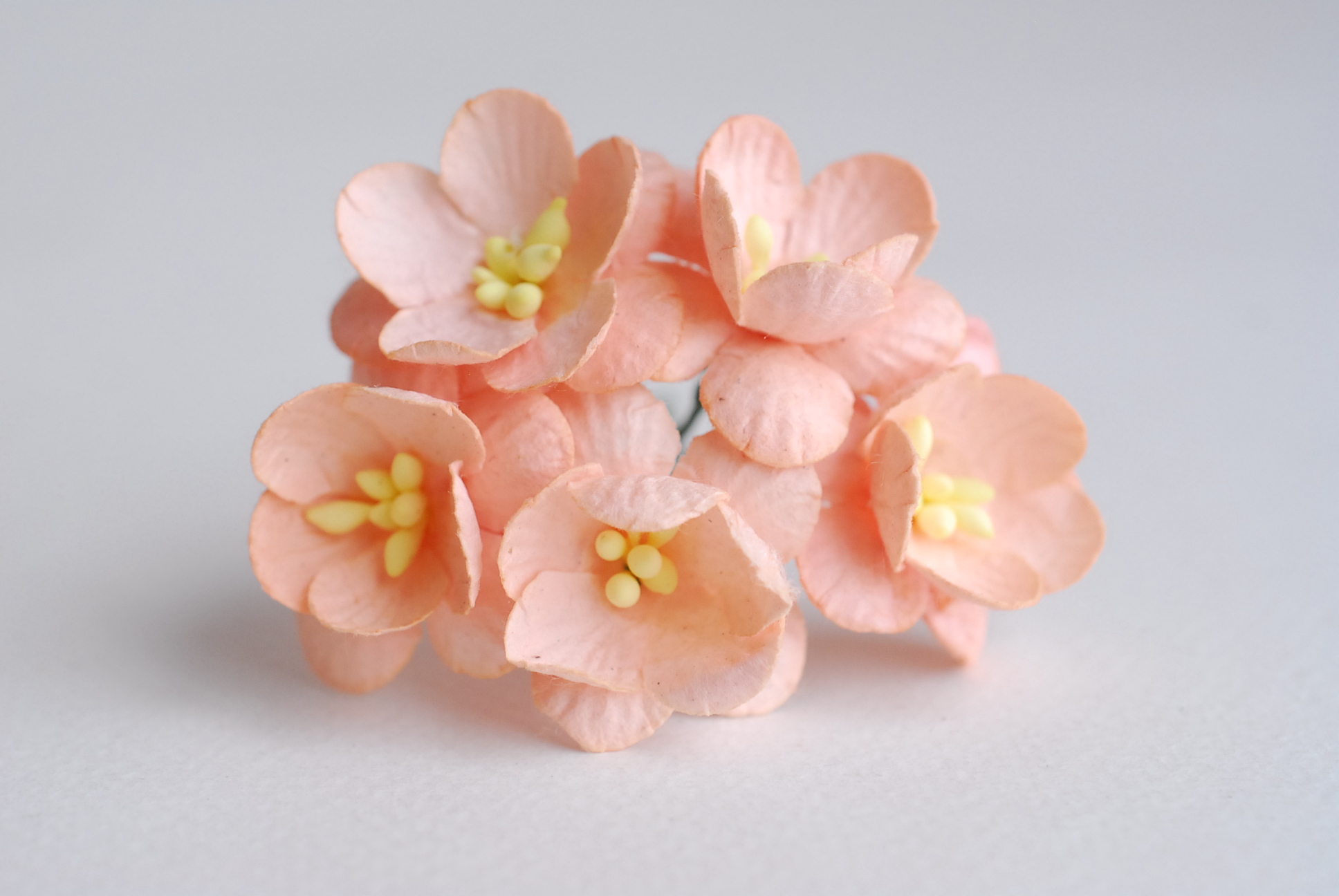 ดอกไม้กระดาษสา ดอกซากุระกระดาษ ดอกไม้กระดาษสาราคาส่ง ดอกไม้กระดาษสำหรับตกแต่งของชำร่วย งานแต่งงาน ทำช่อดอกไม้ติดอกเจ้าบ่าว ข้อมือดอกไม้เจ้าสาว ขนาด2.5 cm. 50 ดอก Paper flowers supplies: DIY wedding tools Cherry blossom (Sakura) 50 pcs. size 2.5 cm.