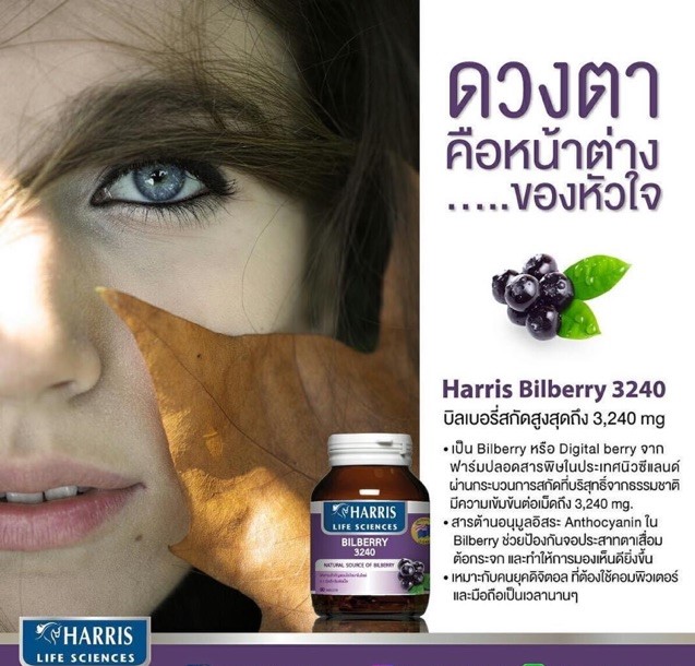 [[📍เมื่อสั่งซื้อสินค้า MAXXLIFE 2ชิ้นขึ้นไป มีของเเถมพิเศษ📍]] HARRIS BILBERRY 3240MG. 60TABS (MAXXLIFE) ดูแลสุขภาพดวงตา ด้วยบิลเบอร์รี่เข็มข้น 3240 มิลลิกรัม