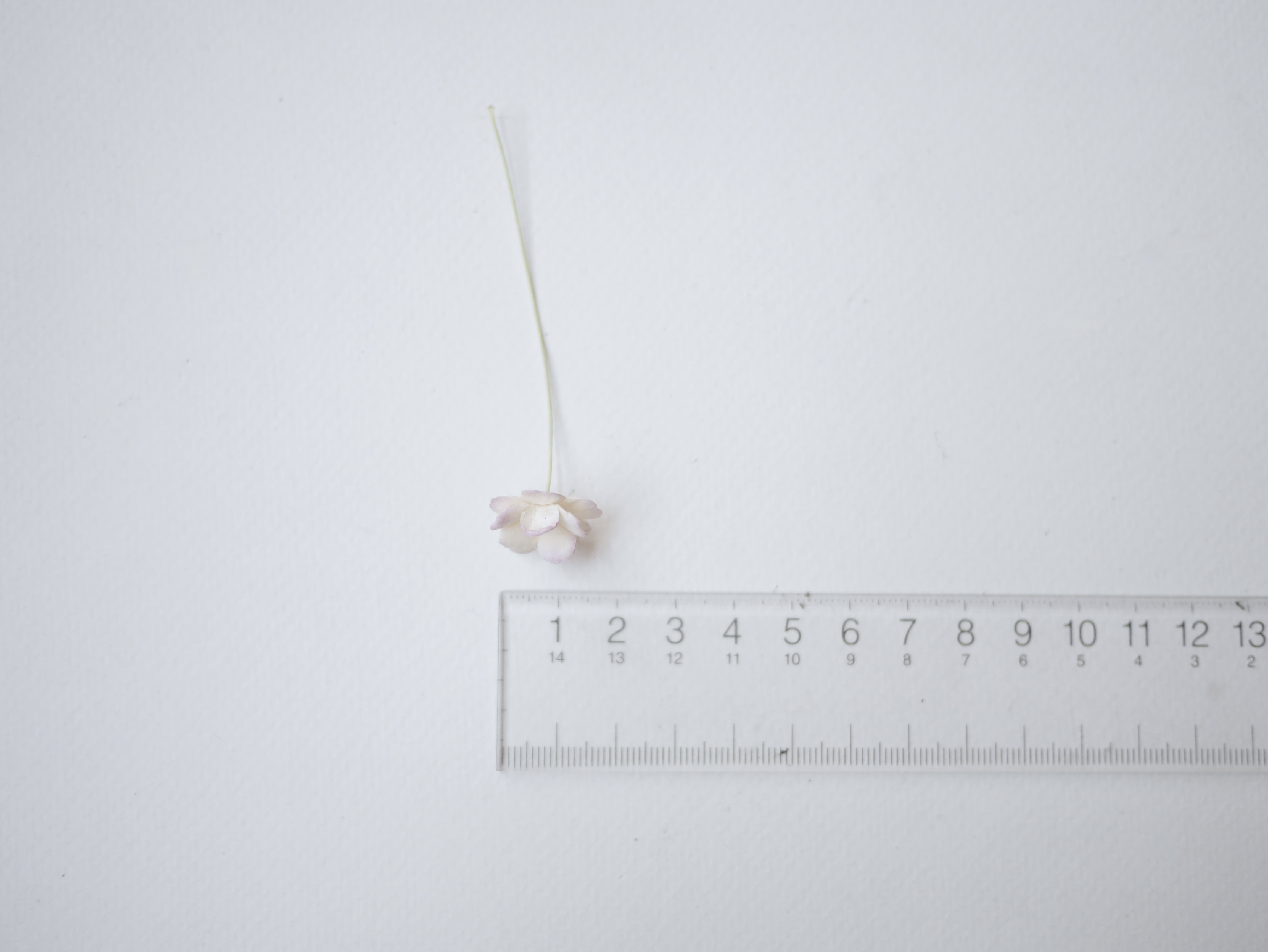 ดอกไม้กระดาษสา ราคาส่ง, ดอกไฮเดรนเยียกระดาษสา ดอกไม้ประดิษฐ์ ตกแต่งงานแต่งงาน ประดิษฐ์ข้อมือเพื่อนเจ้าสาว ขนาด 1.5 cm., สำหรับของชำร่วย, งานแต่งงาน, ดอกไม้ทำข้อมือเจ้าสาว สีชมพูม่วงอ่อนปัดครีม fuchsia brush ivory จำนวน 100 ดอก Paper flower,100 Pieces