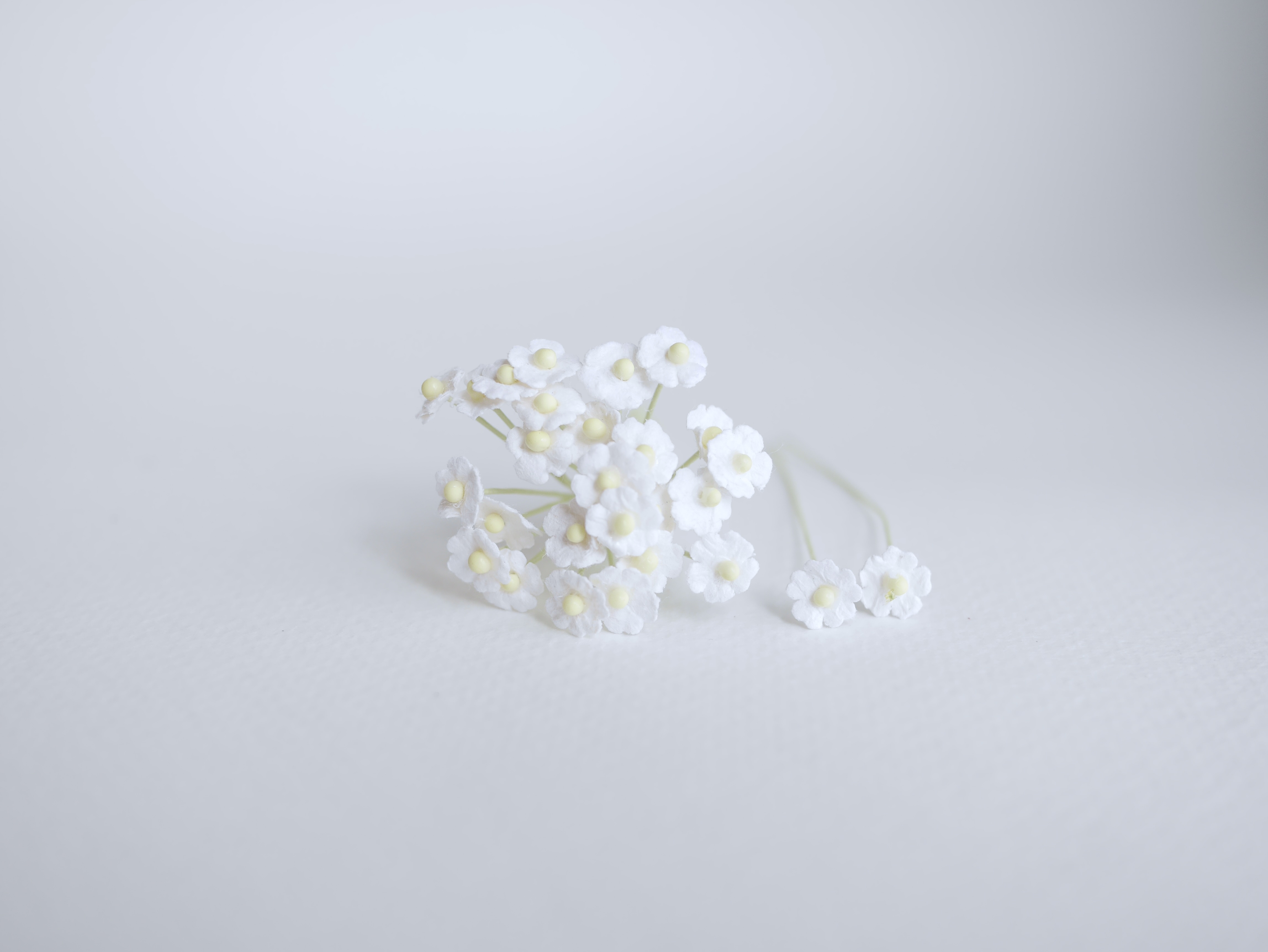 ดอกไม้กระดาษสา ดอกไม้กระดาษสาราคาส่ง ดอกไม้กระดาษสำหรับตกแต่ง งานแต่งงาน หรือติดของชำร่วย ดอกไม้จิ๋ว 100 ดอก ขนาด 0.6 cm. สีขาว Small Paper Flower with stem, , 100 pcs., size 0.5 cm., small creeping ladies flowers 1 layer, white color.