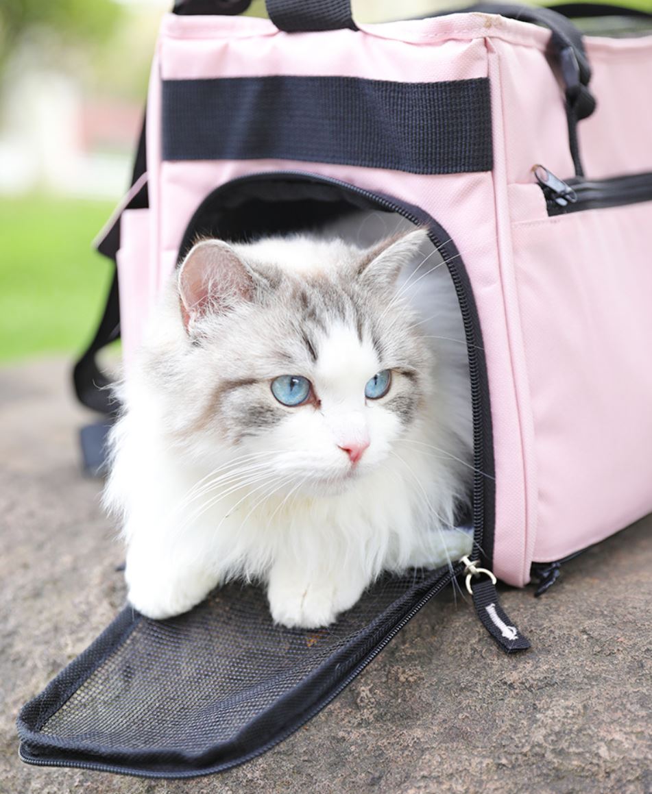 [1100] กระเป๋าสุนัข แมว ถือ สะพายข้าง ใส่แมวง่าย ระบายอากาศดี