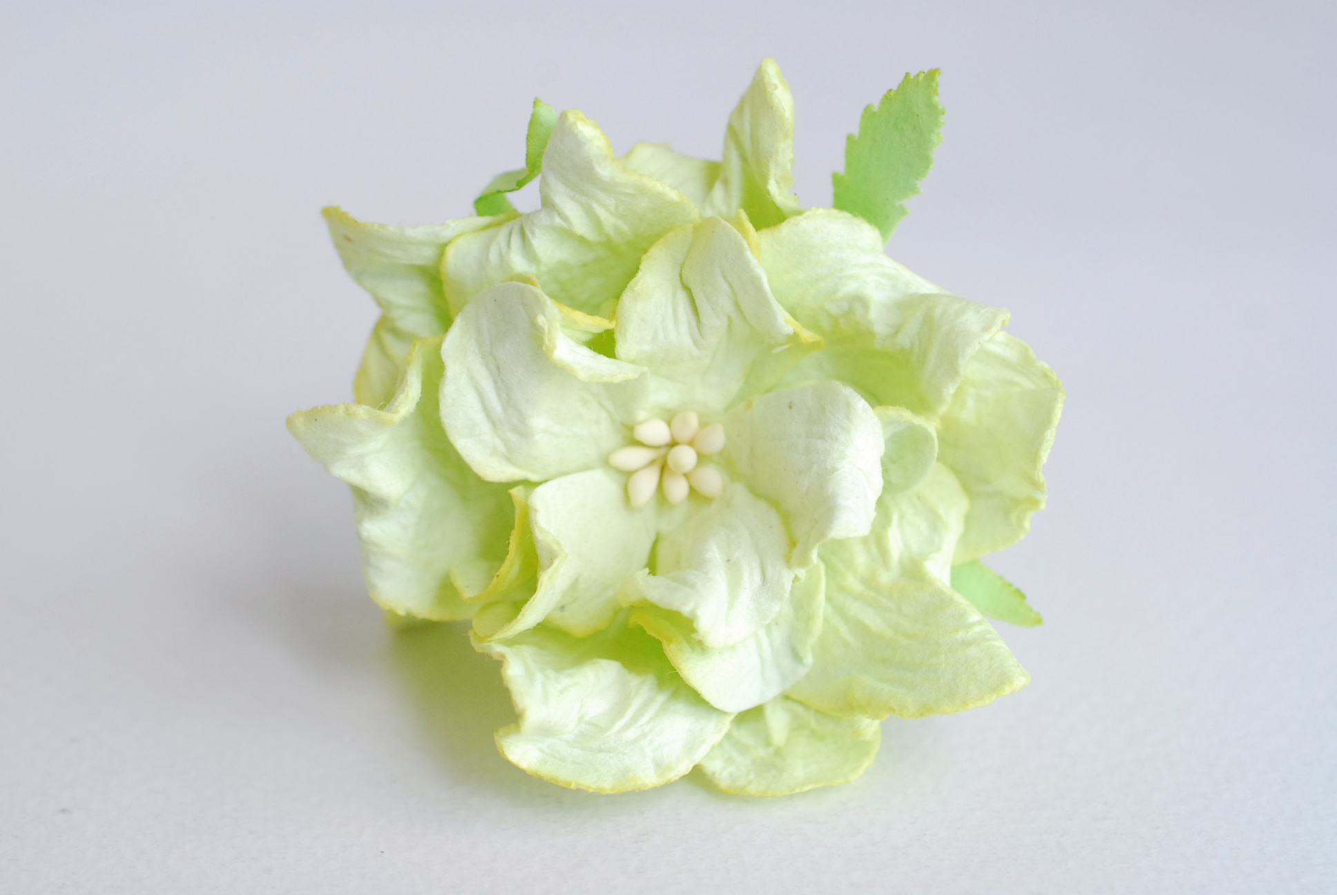 ดอกไม้กระดาษสา ราคาส่ง, ดอกการเดนเนียกระดาษสา ดอกไม้ประดิษฐ์ ตกแต่งงานแต่งงาน ประดิษฐ์ข้อมือเพื่อนเจ้าสาว ขนา่ด 5.5 cm., สำหรับของชำร่วย, งานแต่งงาน, ดอกไม้ทำข้อมือเจ้าสาว สีเขียวอ่อน จำนวน 25 ดอก Paper flower,25 Pieces mulberry gardenia flowers suppiles