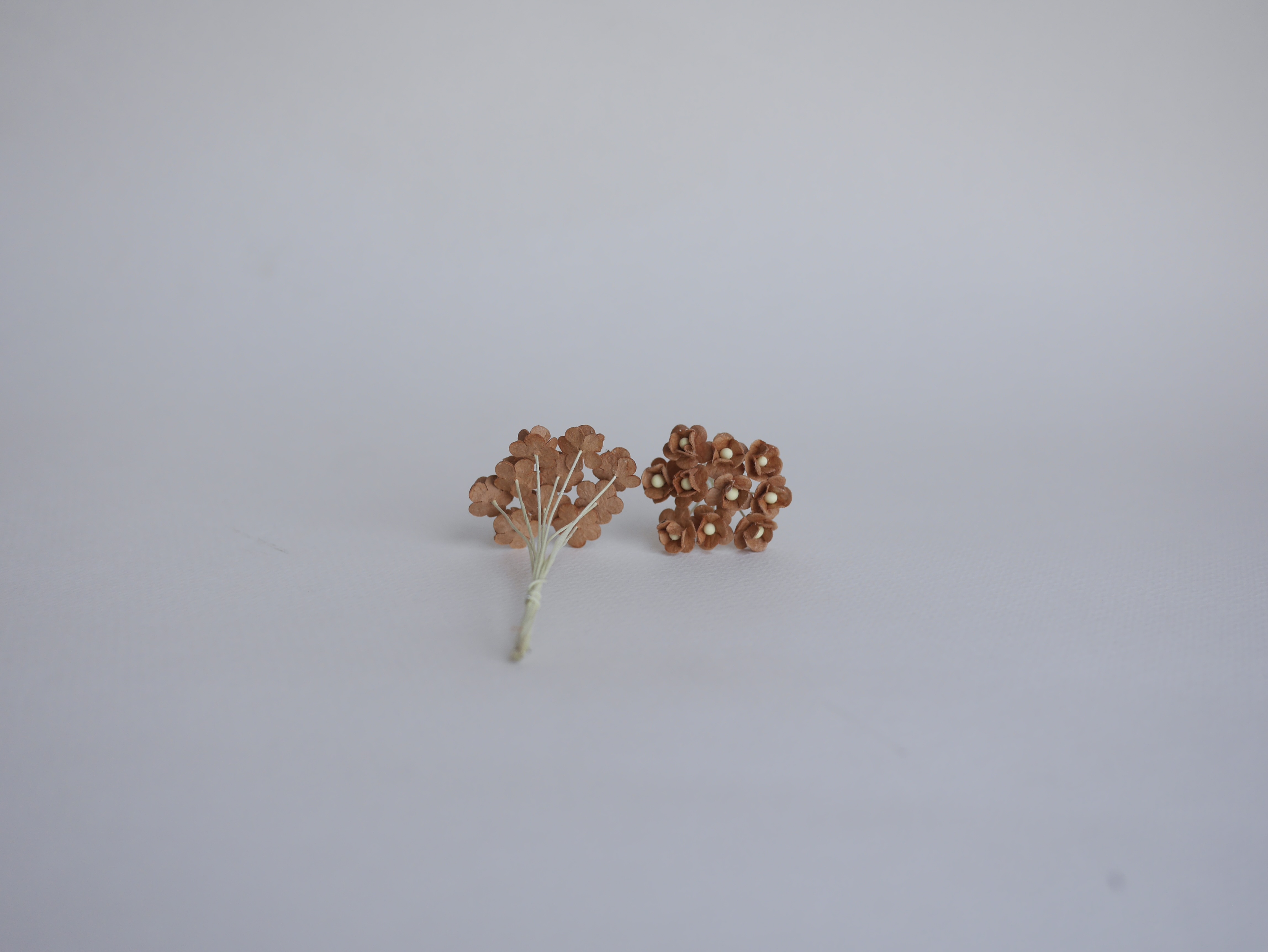 ดอกไม้กระดาษสา ดอกไม้กระดาษสาราคาส่ง ดอกไม้กระดาษสำหรับตกแต่ง งานแต่งงาน หรือติดของชำร่วย ดอก creeping lady 100 ดอก ขนาด 0.8 cm. สีน้ำตาลเข้ม Small Paper Flower with stem, 100 pcs., size 0.8 cm., creeping flowers 2 layers, medium brown color.