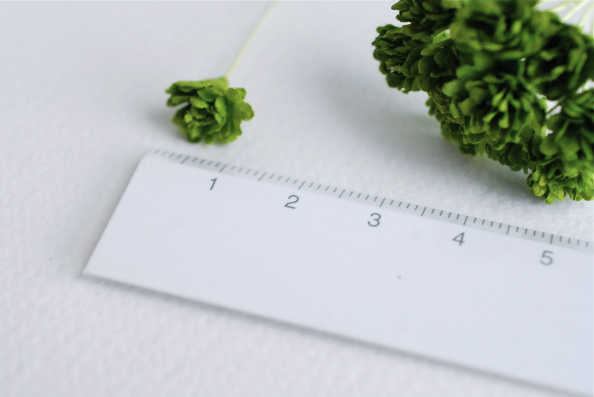 ดอกไม้ประดิษฐ์, ดอกไม้กระดาษสา, ดอก gypsophila, ดอกยิปโซ งานประดิษฐ์ตกแต่งของชำร่วย, ดอกไม้ทำพานพุ่ม,พานพวงมาลัย, พานรับไหว้, ขนาด 1 cm. สีเขียว