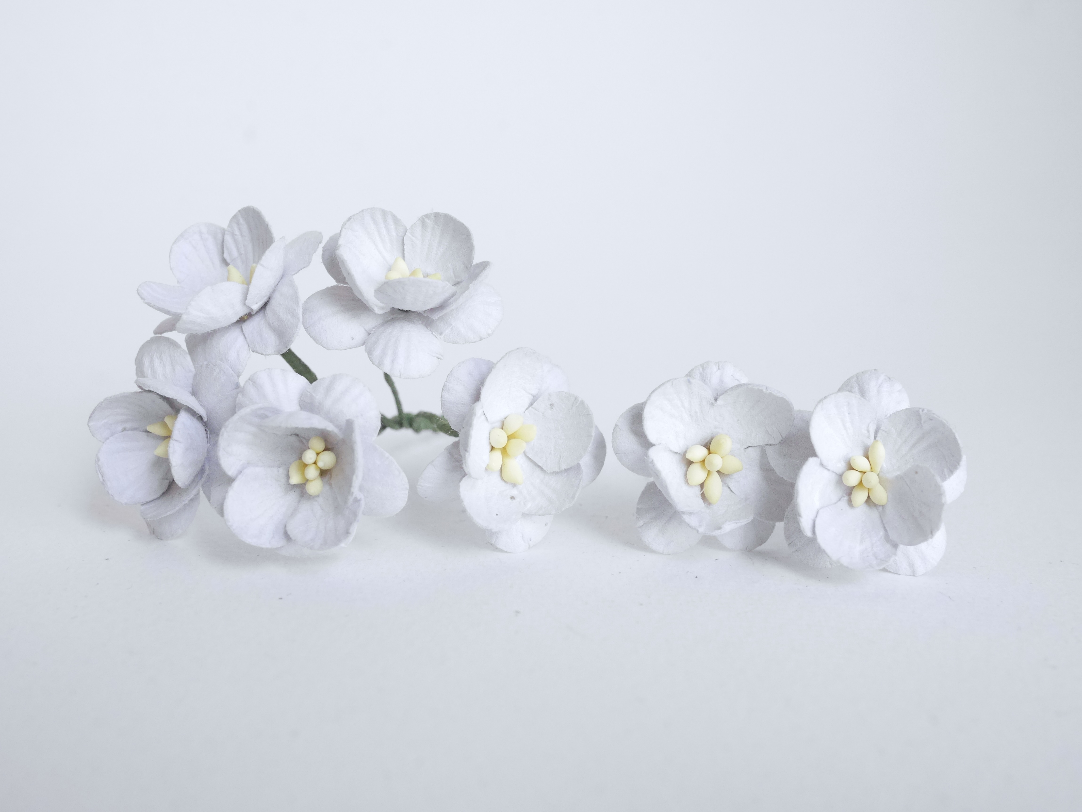 ดอกไม้กระดาษสา ดอกซากุระกระดาษ ดอกไม้กระดาษสาราคาส่ง ดอกไม้กระดาษสำหรับตกแต่งของชำร่วย งานแต่งงาน ทำช่อดอกไม้ติดอกเจ้าบ่าว ข้อมือดอกไม้เจ้าสาว ขนาด2.5 cm. 50 ดอก สีเทาอ่อน Paper flowers supplies: DIY wedding tools Cherry blossom (Sakura) 50 pcs. size 2.5