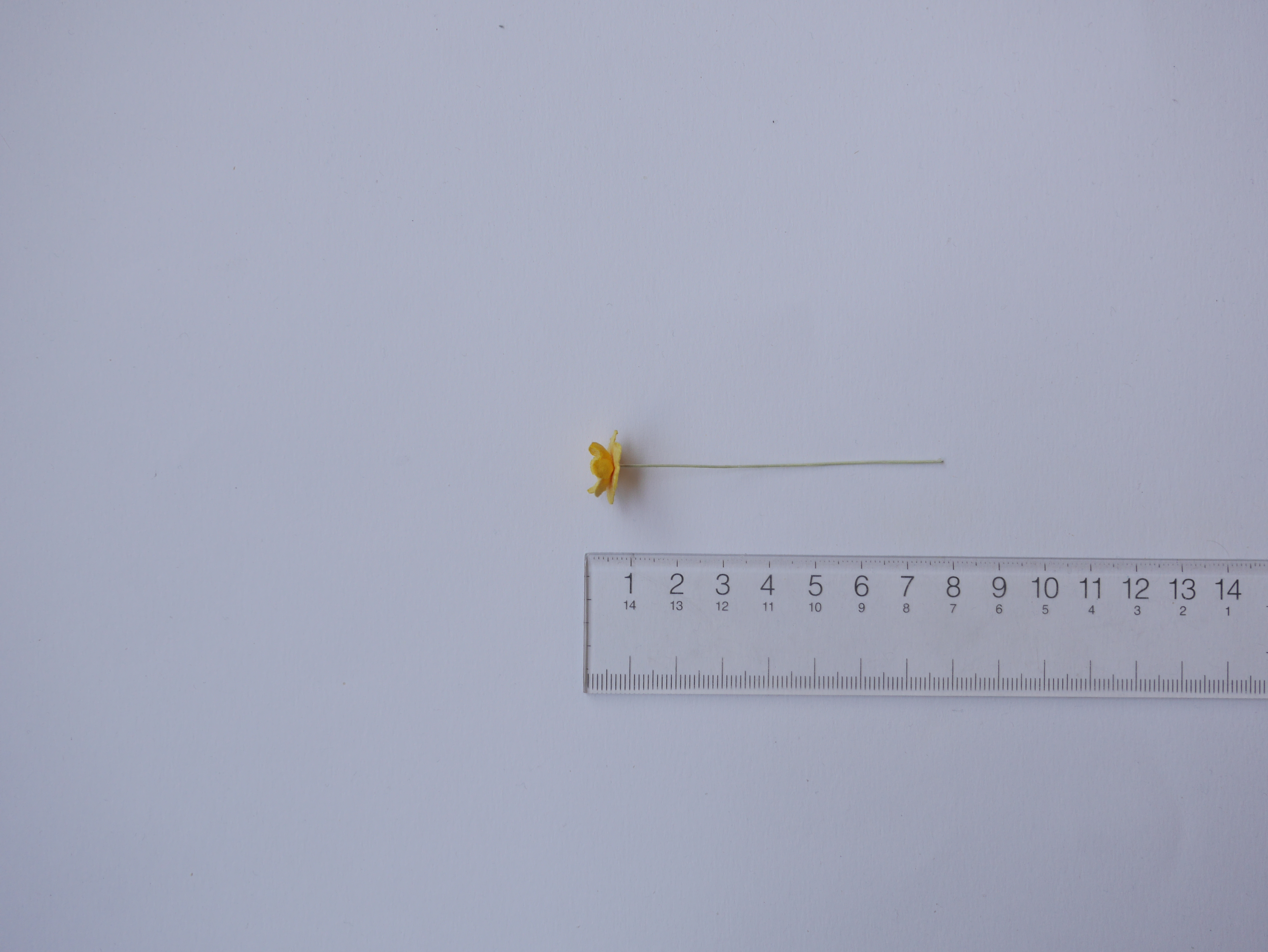 ดอกไม้กระดาษสา ดอกซากุระกระดาษขนาดเล็ก ดอกไม้กระดาษสาราคาส่ง ดอกไม้กระดาษสำหรับตกแต่งของชำร่วย งานแต่งงาน ทำช่อดอกไม้ติดอกเจ้าบ่าว ข้อมือดอกไม้เจ้าสาว ขนาด 1.5 cm. 50 ดอก สีเหลือง Paper flowers supplies: DIY wedding tools Small Cherry blossom (Sakura) 50