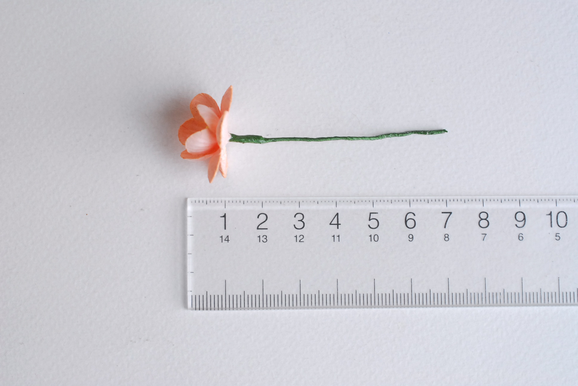 ดอกไม้กระดาษสา ดอกซากุระกระดาษ ดอกไม้กระดาษสาราคาส่ง ดอกไม้กระดาษสำหรับตกแต่งของชำร่วย งานแต่งงาน ทำช่อดอกไม้ติดอกเจ้าบ่าว ข้อมือดอกไม้เจ้าสาว ขนาด2.5 cm. 50 ดอก Paper flowers supplies: DIY wedding tools Cherry blossom (Sakura) 50 pcs. size 2.5 cm.