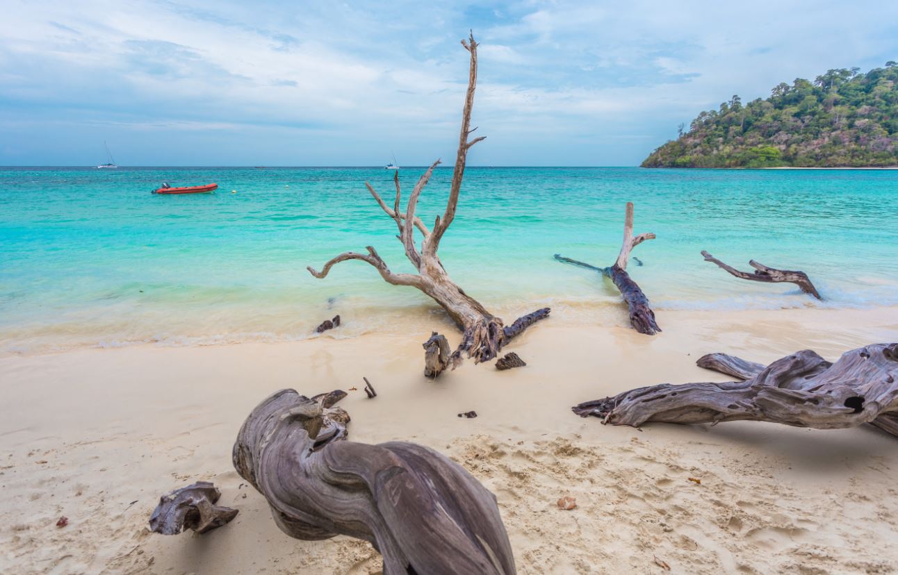 ทัวร์เกาะรอก