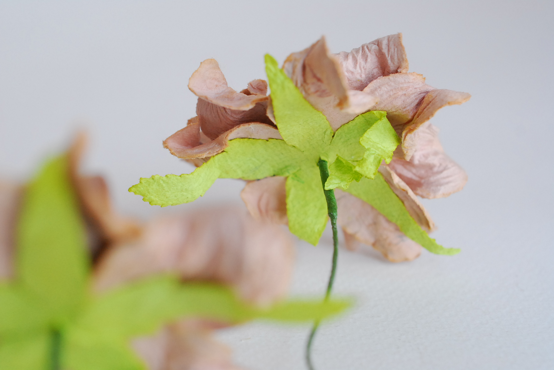 ดอกไม้กระดาษสา ราคาส่ง, ดอกการเดนเนียกระดาษสา ดอกไม้ประดิษฐ์ ตกแต่งงานแต่งงาน ประดิษฐ์ข้อมือเพื่อนเจ้าสาว ขนา่ด 5.5 cm., สำหรับของชำร่วย, งานแต่งงาน, ดอกไม้ทำข้อมือเจ้าสาว สีน้ำตาล จำนวน 25 ดอก Paper flower,25 Pieces mulberry gardenia flowers supplies