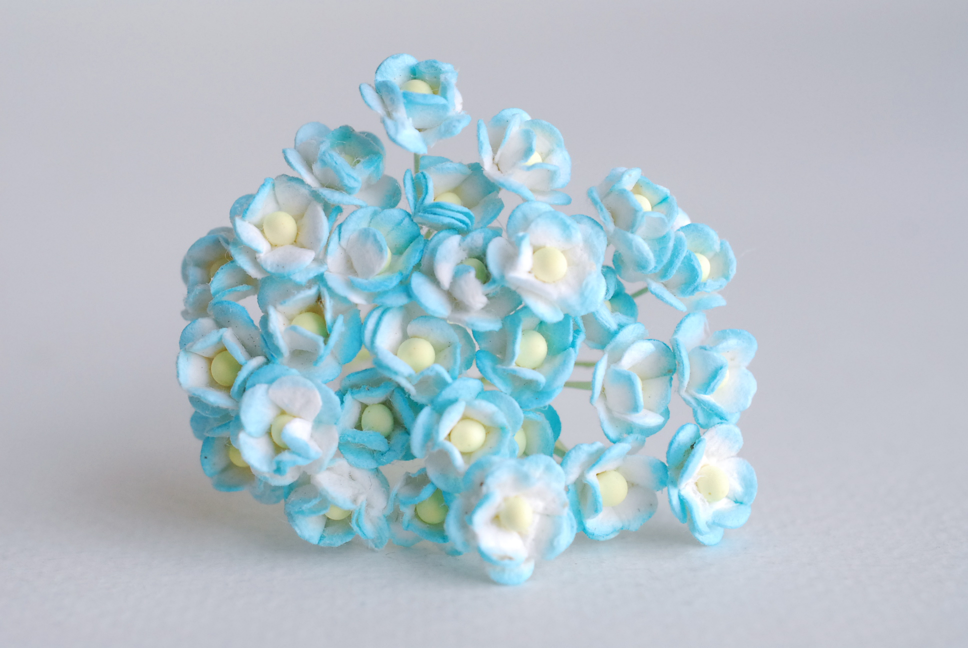 ดอกไม้กระดาษสา ดอกไม้กระดาษสาราคาส่ง ดอกไม้กระดาษสำหรับตกแต่ง งานแต่งงาน หรือติดของชำร่วย ดอก creeping lady 100 ดอก ขนาด 0.8 cm. สีฟ้าอ่อนปัดขาว Small Paper Flower with stem, , 100 pcs., size 0.8 cm., creeping flowers 2 layers, blue sky brush color.