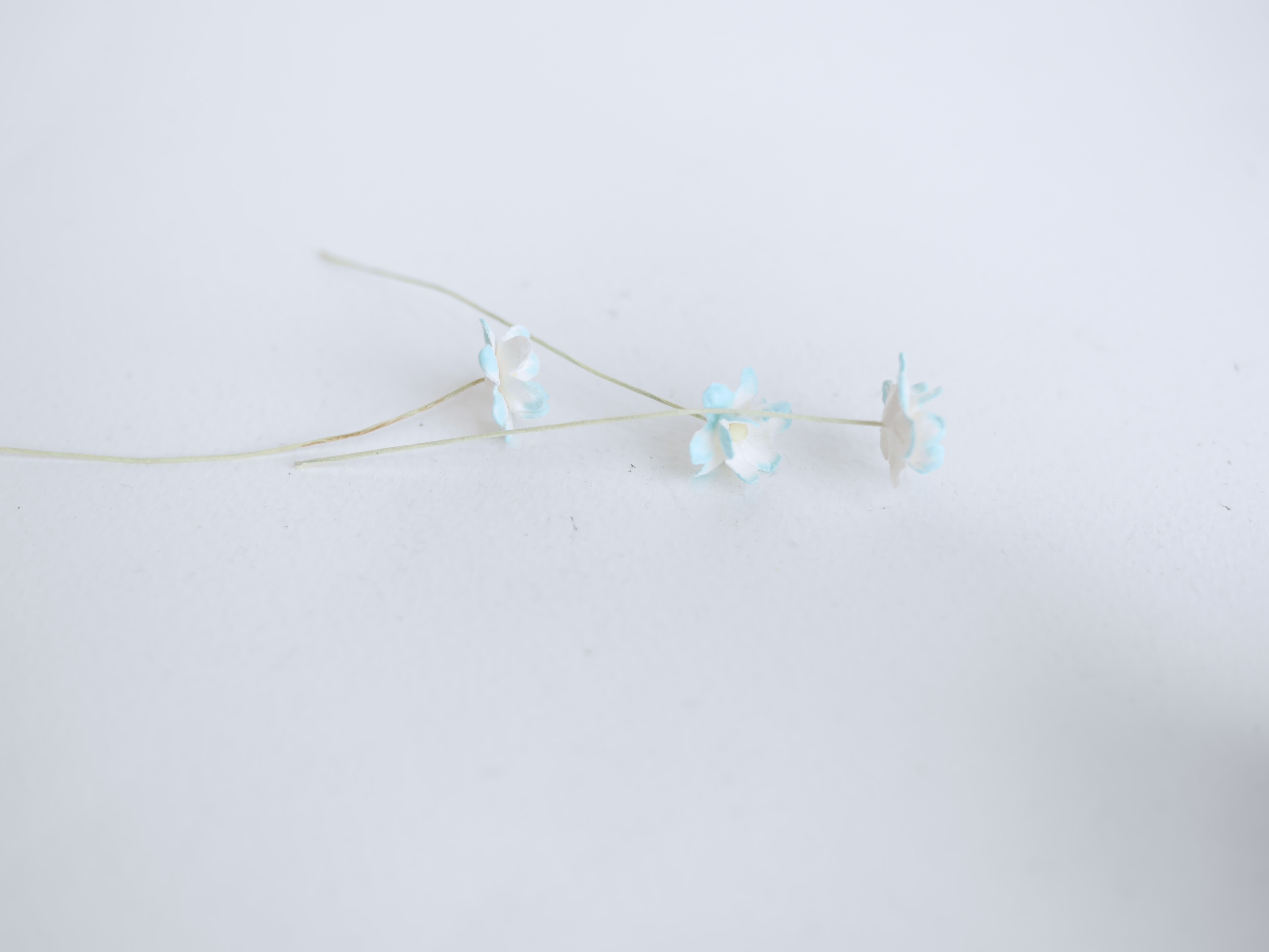 ดอกไม้กระดาษสา ราคาส่ง, ดอกซากุระกระดาษสา ดอกไม้ประดิษฐ์ ตกแต่งงานแต่งงาน ประดิษฐ์ข้อมือ เพื่อนเจ้าสาว ขนาด 1.5 cm., สำหรับของชำร่วย, งานแต่งงาน, ดอกไม้ทำข้อมือเจ้าสาว สีฟ้าอ่อนปัดขาว จำนวน 100 ดอก Paper flower,100 Pieces mulberry hydenyia, blue-sky color