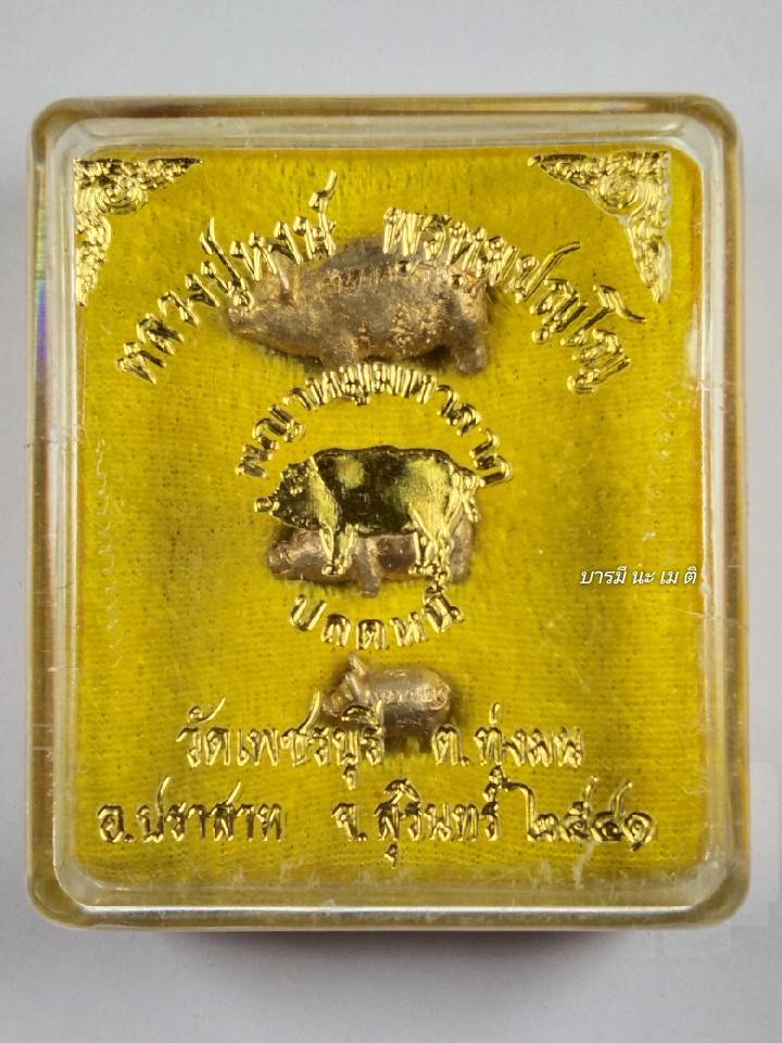 พญาหมู มหาลาภ ปลดหนี้ (ครอบครัว พ่อ แม่ ลูก) เนื้อ : ทองทิพย์