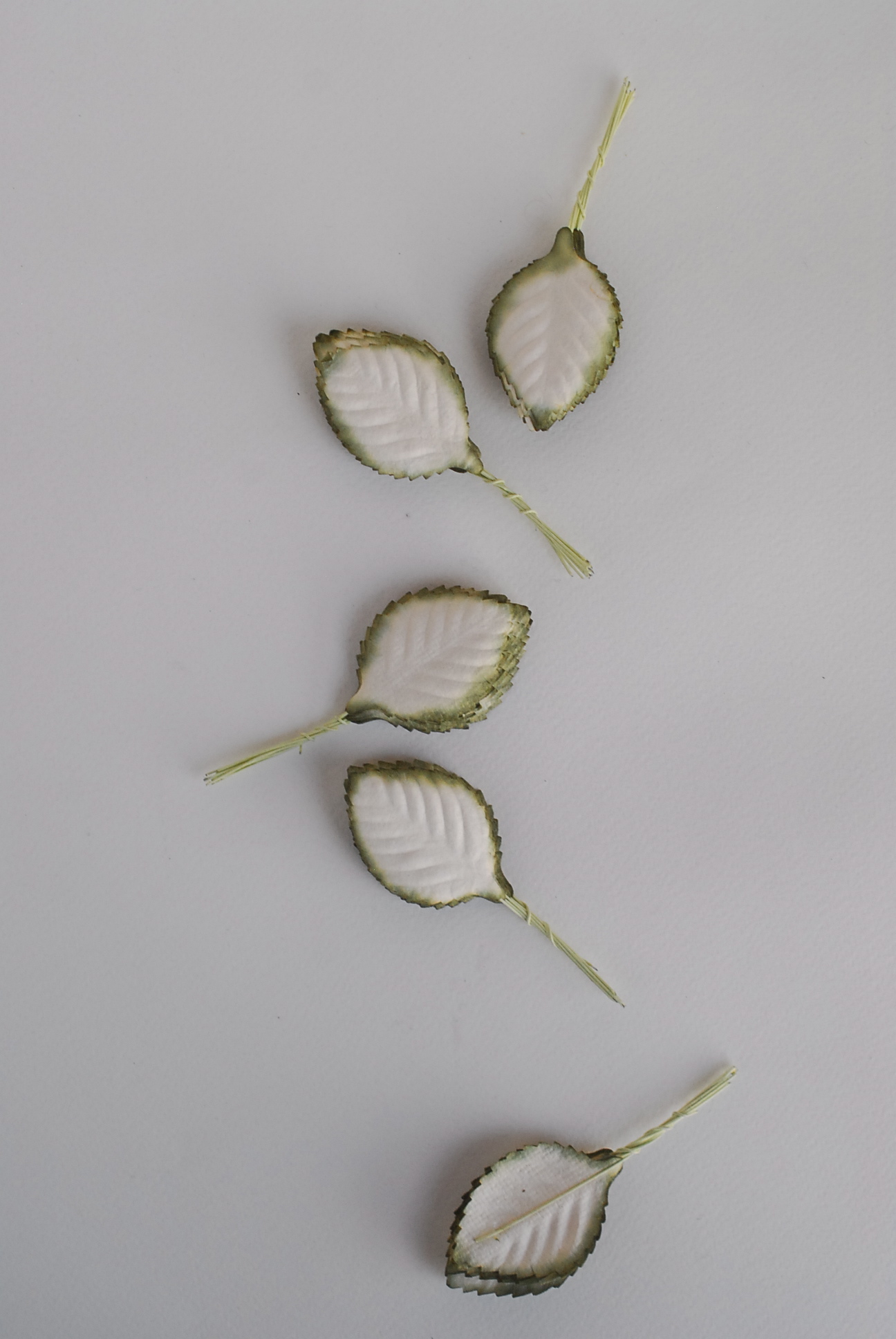 ใบไม้กระดาษ ใบไม้กระดาษสา ราคาส่ง,ใบไม่้กุหลาบกระดาษ สำหรับดอกกุหลาบกระดาษสา ใบไม้ประดิษฐ์ สำหรับตกแต่ง หรืองานแต่งงาน สีขาวปัดเขียวแก่ ขนาด 4.5x2.5 cm. จำนวน 50 ใบ