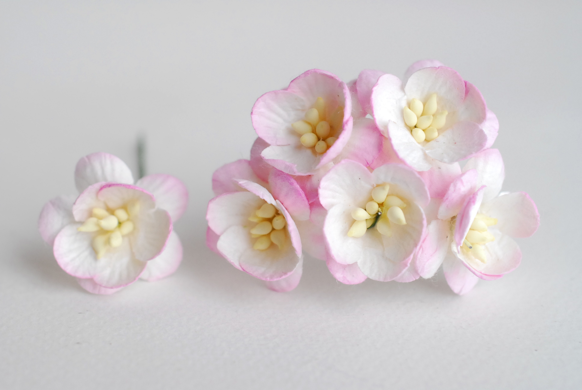 ดอกไม้กระดาษสา ดอกซากุระกระดาษ ดอกไม้กระดาษสาราคาส่ง ดอกไม้กระดาษสำหรับตกแต่งของชำร่วย งานแต่งงาน ทำช่อดอกไม้ติดอกเจ้าบ่าว ข้อมือดอกไม้เจ้าสาว ขนาด2.5 cm. 50 ดอก สีชมพูปัด Paper flowers supplies: DIY wedding tools Cherry blossom (Sakura) 50 pcs. size 2.5