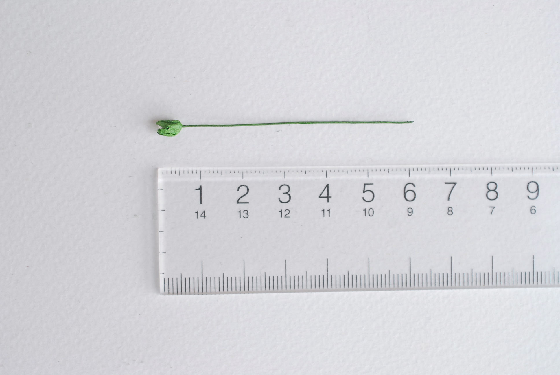 ดอกไม้กระดาษสา ดอกไม้กระดาษสา จตุจักร งานประดิษฐ์ ดอกไม้ทำข้อมือเพื่อนเจ้าสาว แต่งงาน, ดอกกุหลาบตูม 100 ดอก สีแดงปัดสีขาวcolor ขนาด 0.3x0.5 cm. paper flowers, budding roses flower 0.5x0.8 cm. 100 pieces. white color.