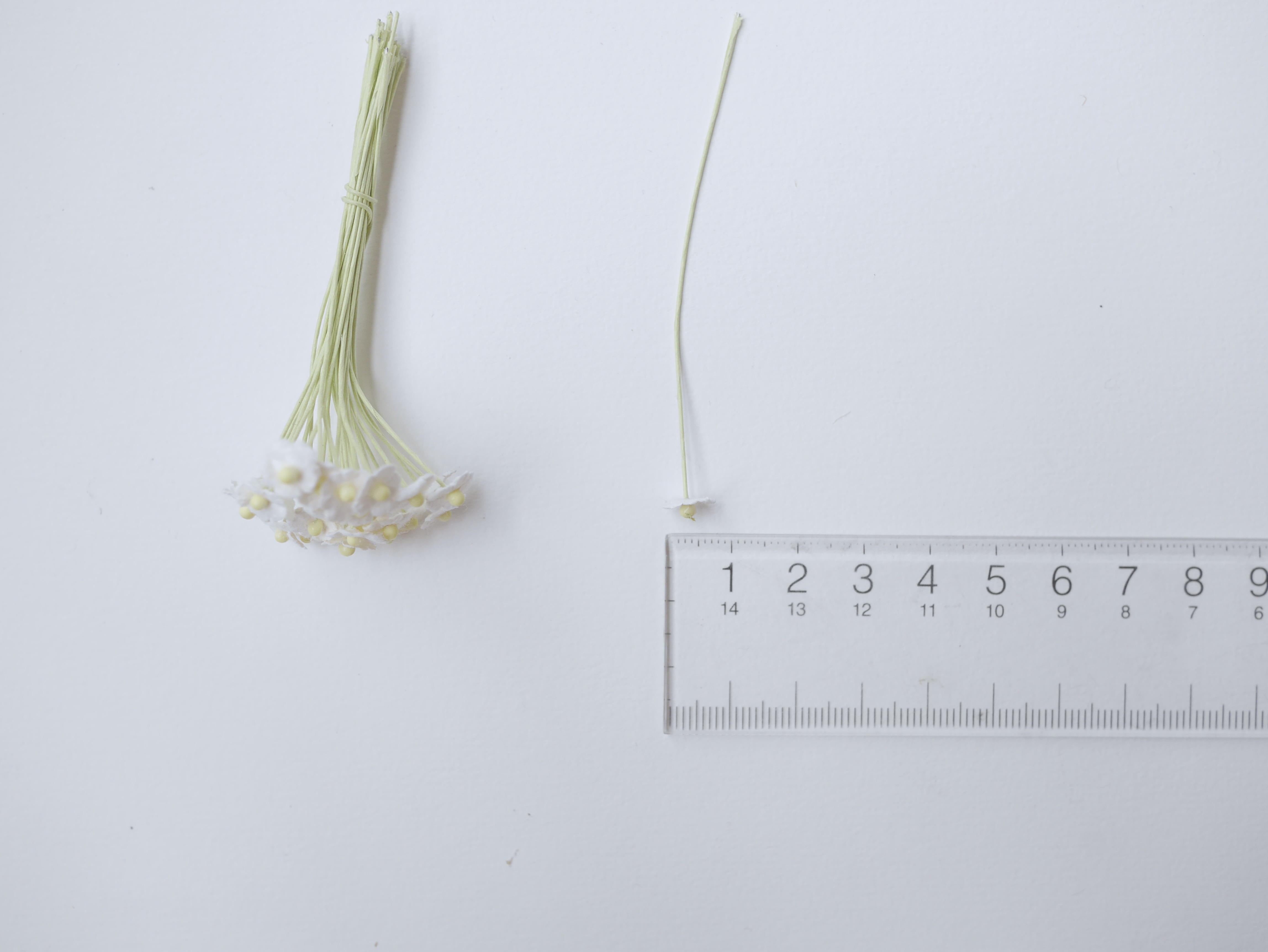 ดอกไม้กระดาษสา ดอกไม้กระดาษสาราคาส่ง ดอกไม้กระดาษสำหรับตกแต่ง งานแต่งงาน หรือติดของชำร่วย ดอกไม้จิ๋ว 100 ดอก ขนาด 0.6 cm. สีขาว Small Paper Flower with stem, , 100 pcs., size 0.5 cm., small creeping ladies flowers 1 layer, white color.