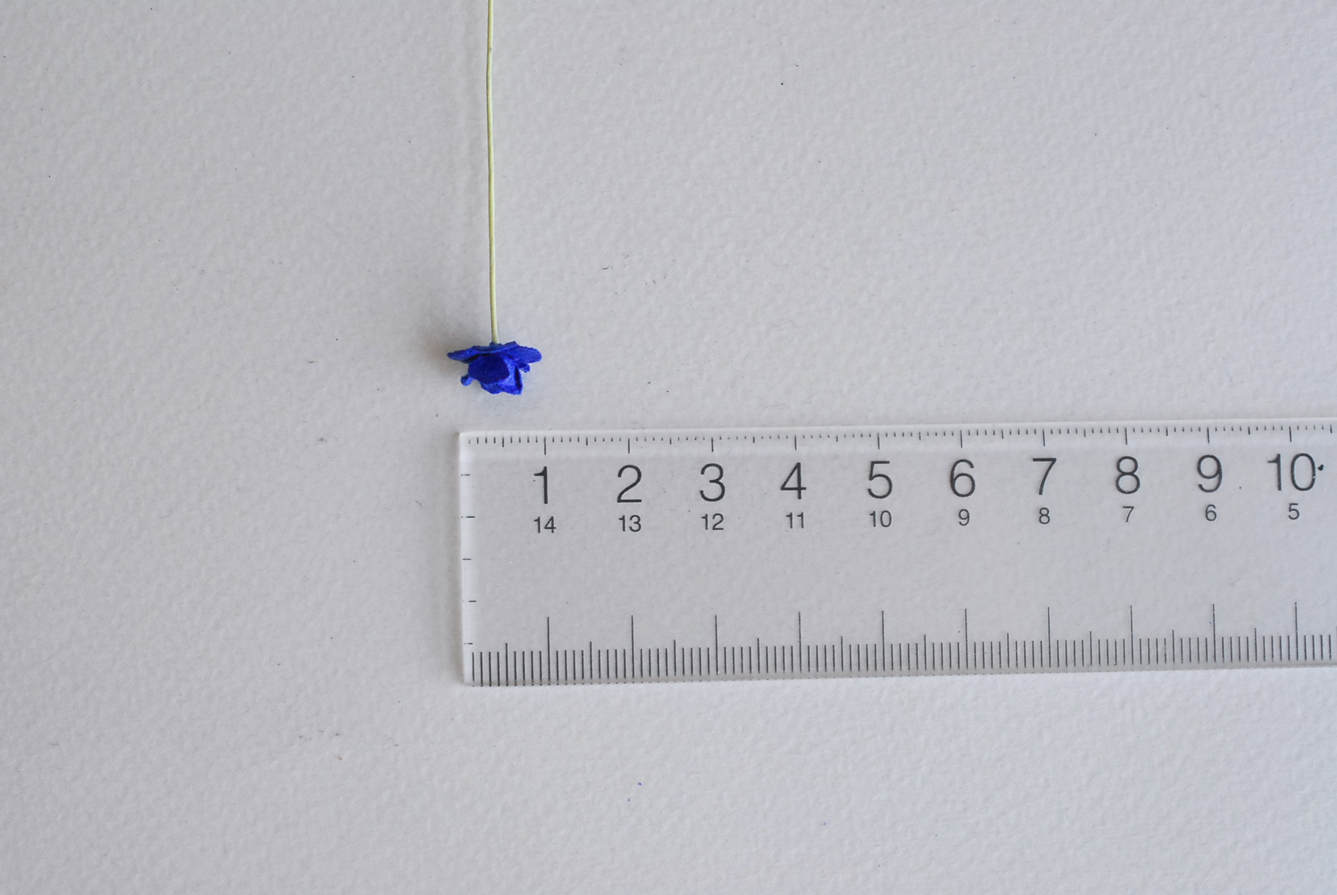 ดอกไม้กระดาษสา ดอกไม้กระดาษสาราคาส่ง ดอกไม้กระดาษสำหรับตกแต่ง งานแต่งงาน หรือติดของชำร่วย ดอก creeping lady 100 ดอก ขนาด 0.8 cm. สีน้ำเงินน้ำทะเล Small Paper Flower with stem, 100 pcs., size 0.8 cm., creeping flowers 2 layers, ocean blue color