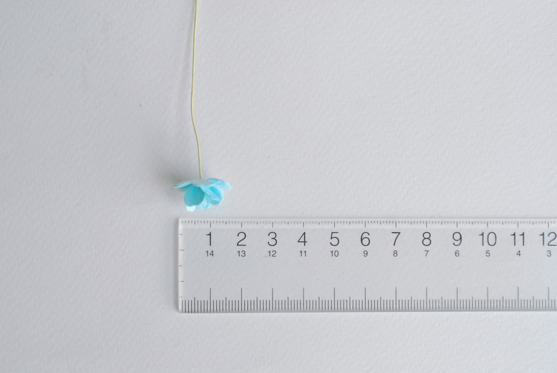 ดอกไม้กระดาษสา ราคาส่ง, ดอกไฮเดรนเยียกระดาษสา ดอกไม้ประดิษฐ์ ตกแต่งงานแต่งงาน ประดิษฐ์ข้อมือเพื่อนเจ้าสาว ขนา่ด 1.5 cm., สำหรับของชำร่วย, งานแต่งงาน, ดอกไม้ทำข้อมือเจ้าสาว สีฟ้าใส จำนวน 100 ดอก Paper flower,100 Pieces mulberry hydenyia blue sky color